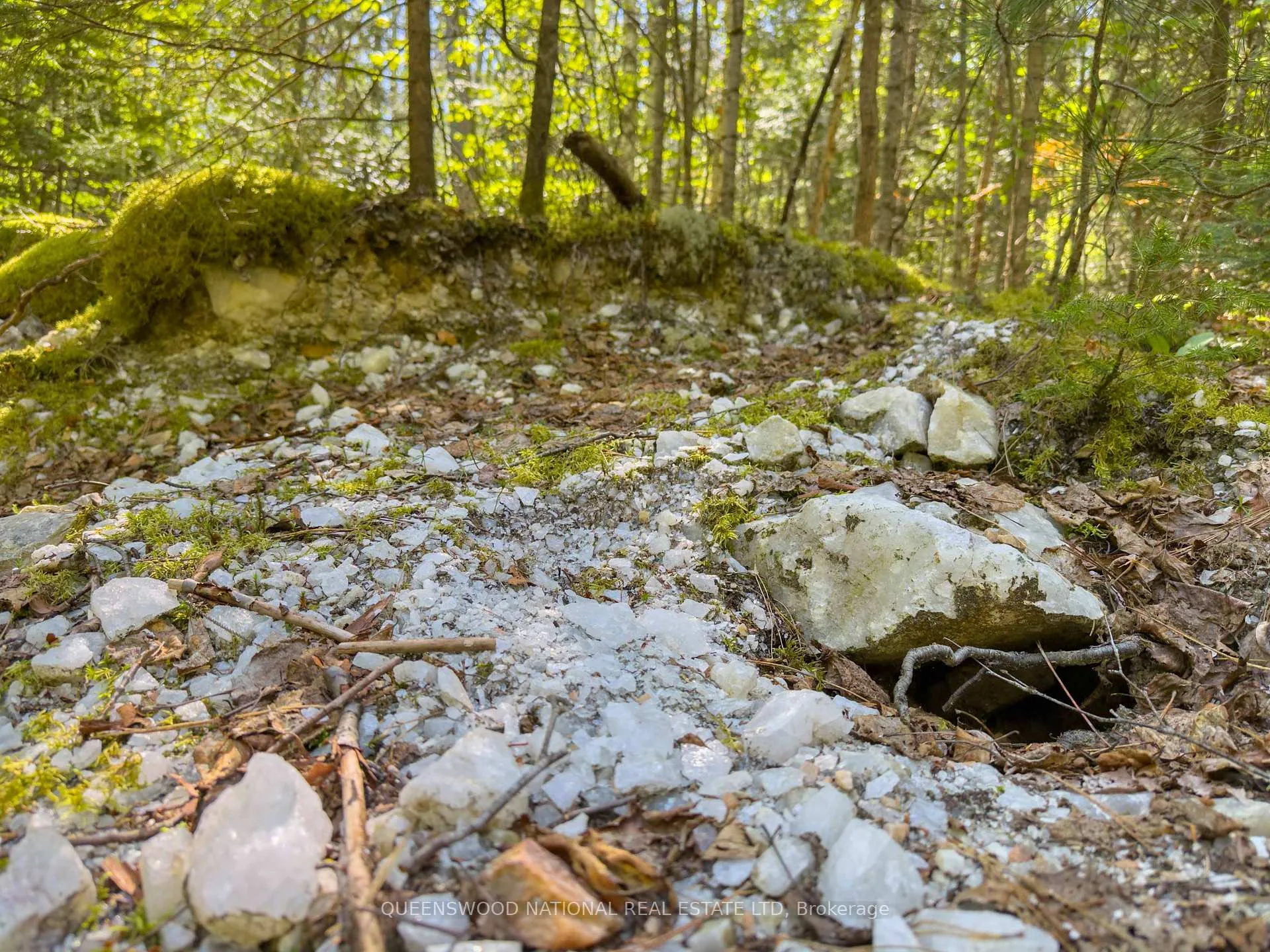 Photo 39 of 1315 Major Lake Road, South Algonquin — HOMEH