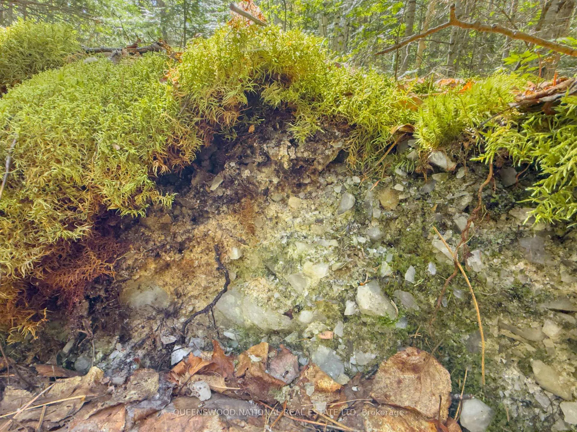 Photo 40 of 1315 Major Lake Road, South Algonquin — HOMEH