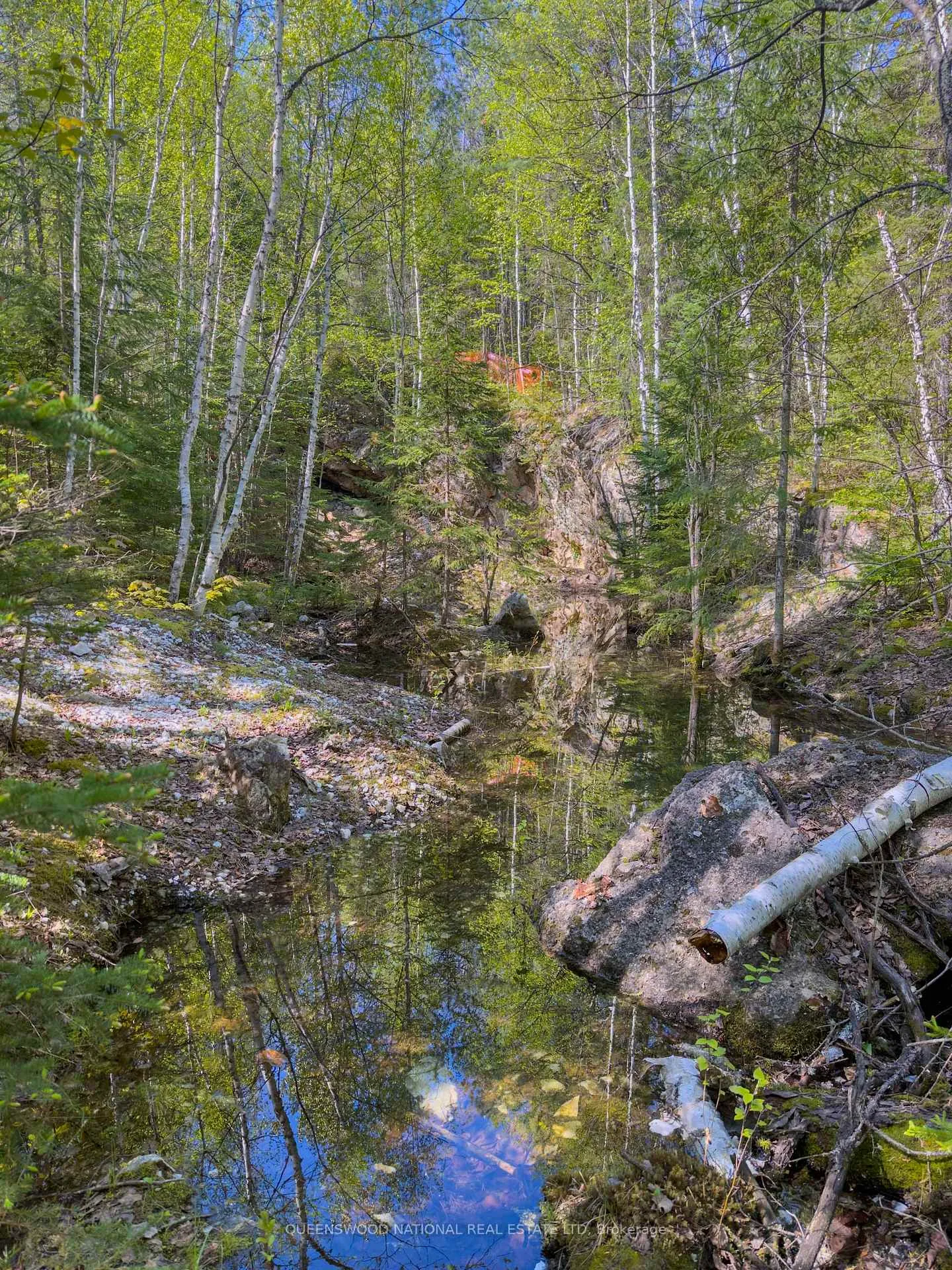 Photo 42 of 1315 Major Lake Road, South Algonquin — HOMEH