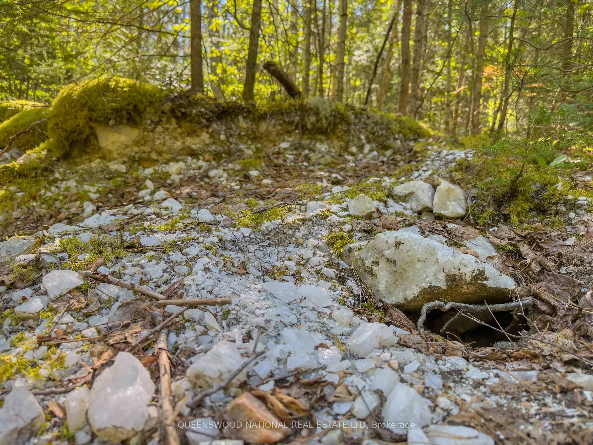 Photo 43 of 1315 Major Lake Road, South Algonquin — HOMEH