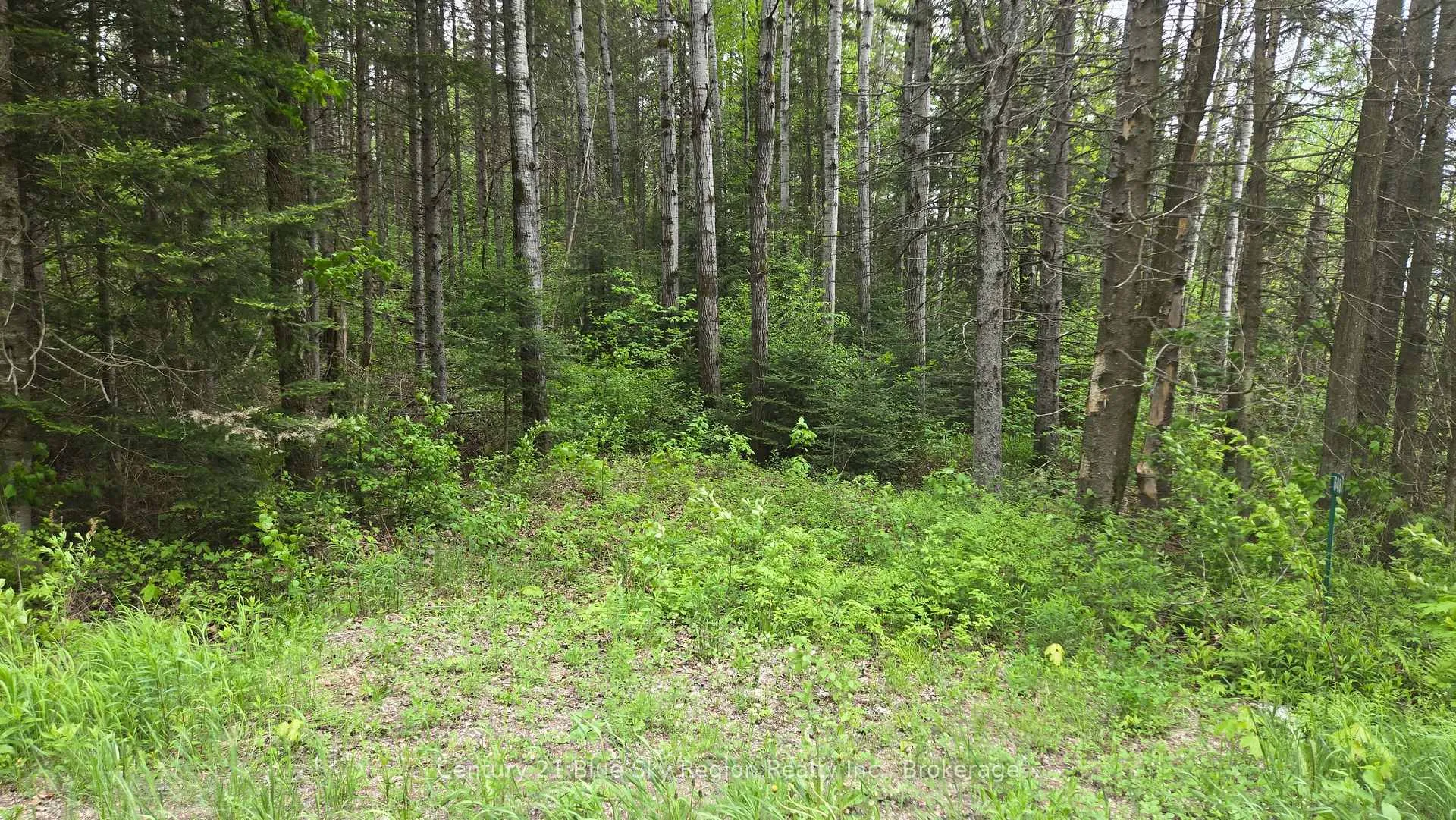 Photo 2 of 648 O'Connor Line, Powassan — HOMEH