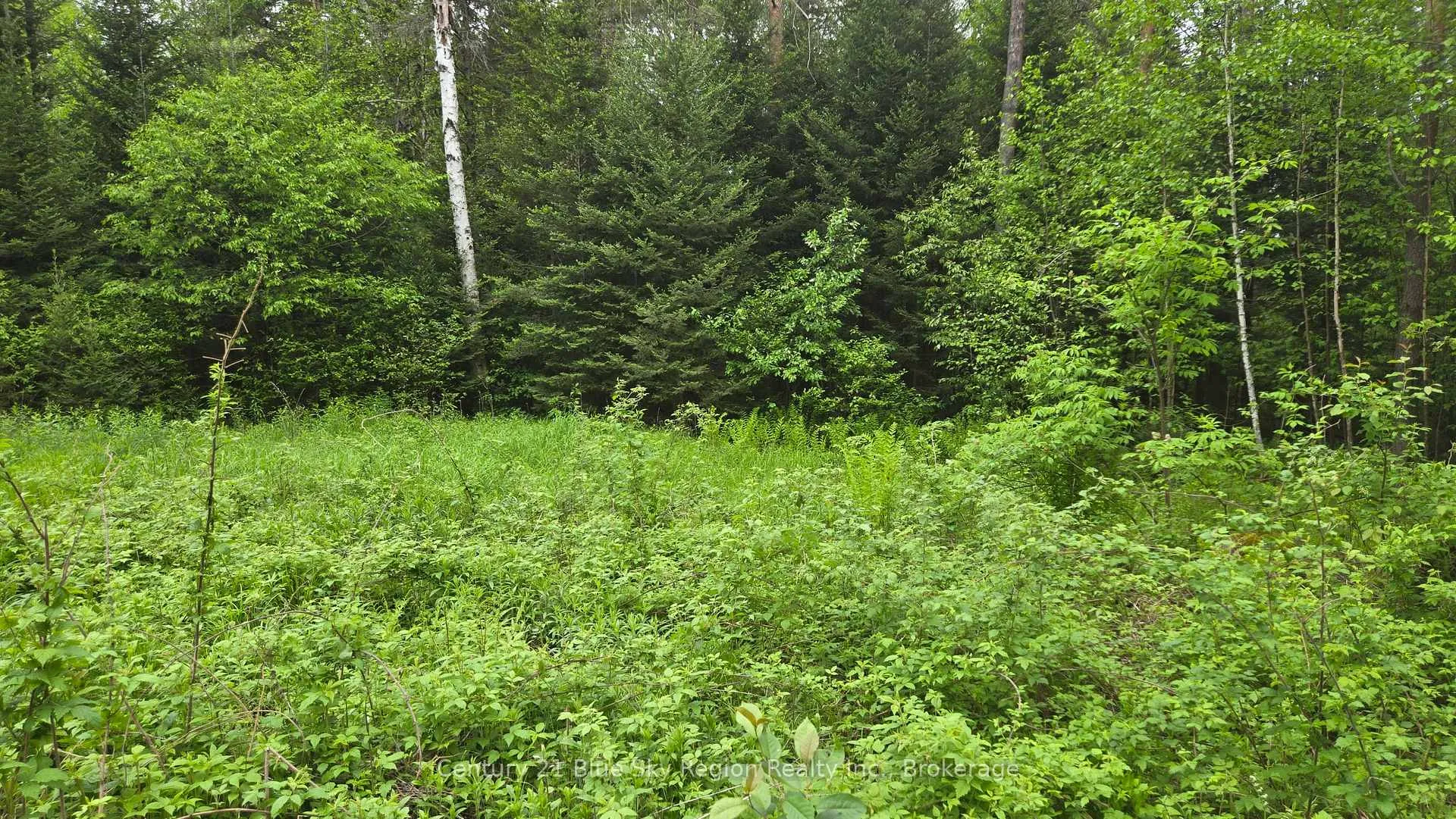 Photo 8 of 648 O'Connor Line, Powassan — HOMEH