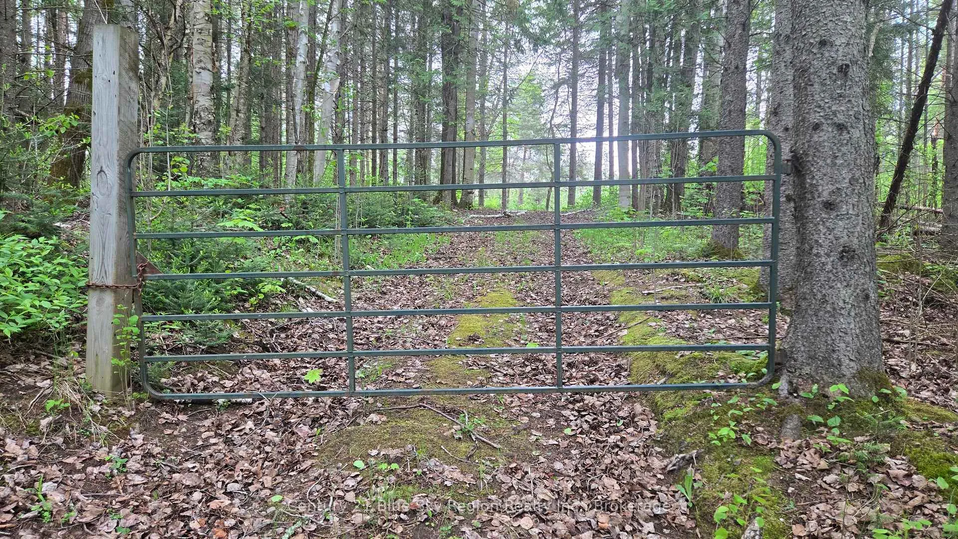 Photo 9 of 648 O'Connor Line, Powassan — HOMEH