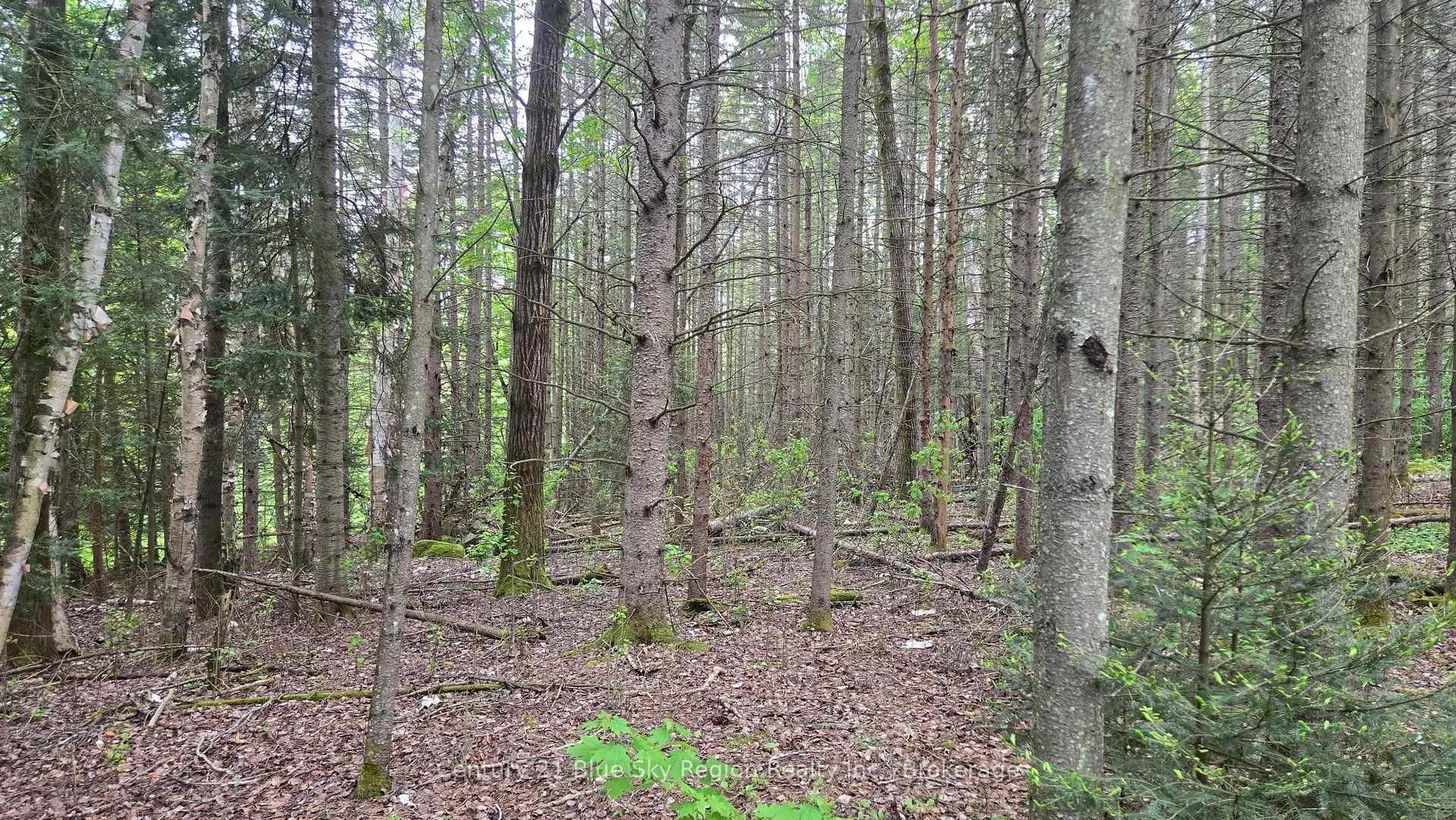 Photo 10 of 648 O'Connor Line, Powassan — HOMEH