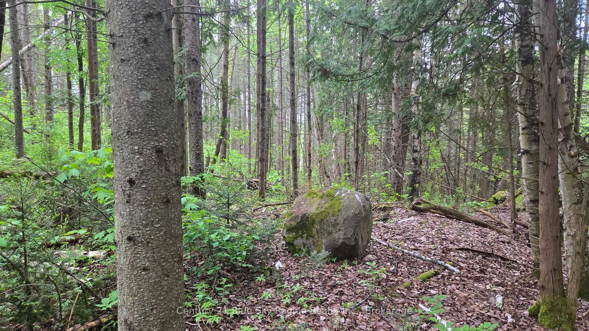 Photo 11 of 648 O'Connor Line, Powassan — HOMEH