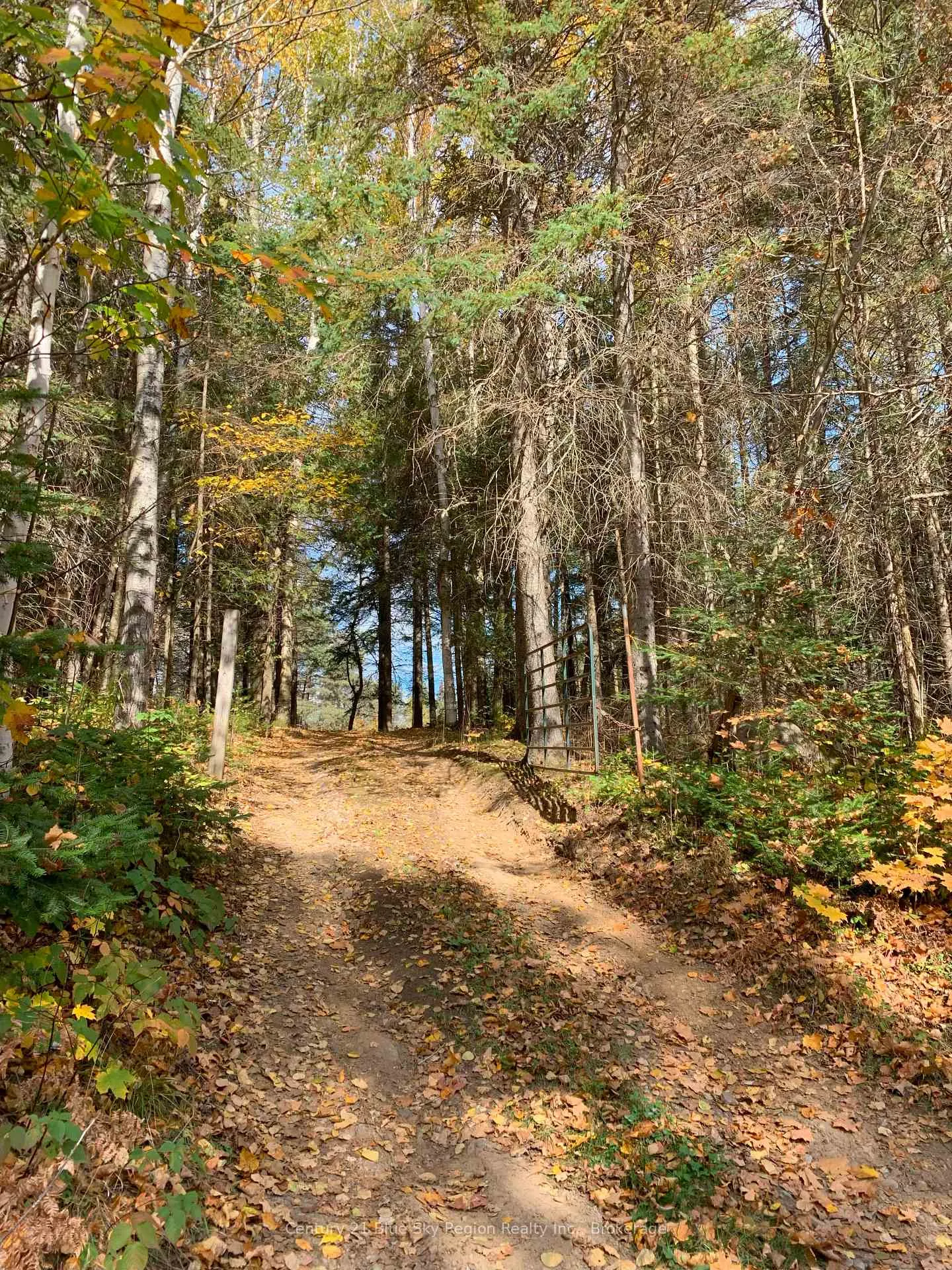 Photo 15 of 648 O'Connor Line, Powassan — HOMEH