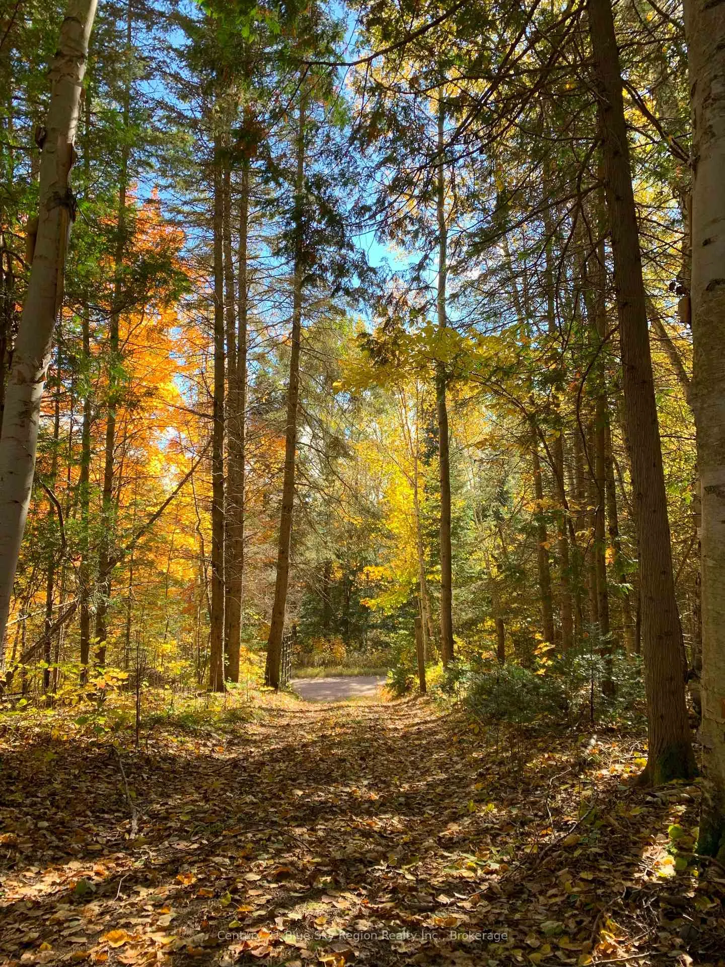 Photo 26 of 648 O'Connor Line, Powassan — HOMEH