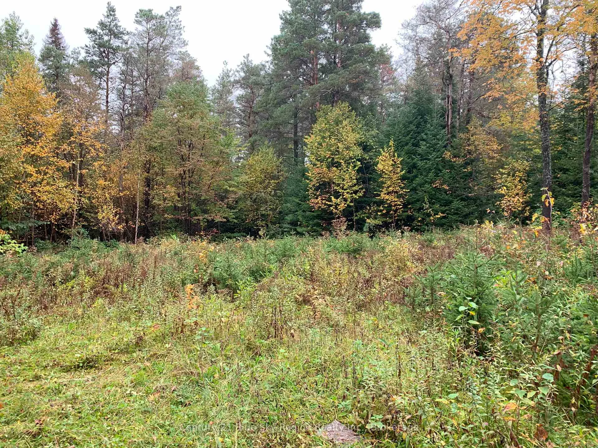 Photo 28 of 648 O'Connor Line, Powassan — HOMEH