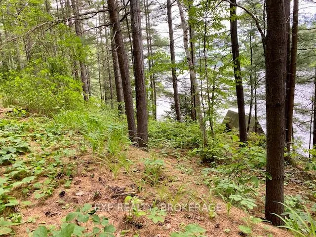 Photo 24 of 1034 Browns Lane, North Frontenac, Frontenac North — HOMEH
