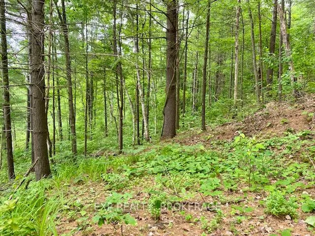 Photo 25 of 1034 Browns Lane, North Frontenac, Frontenac North — HOMEH