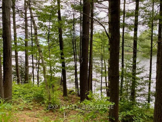 Photo 26 of 1034 Browns Lane, North Frontenac, Frontenac North — HOMEH