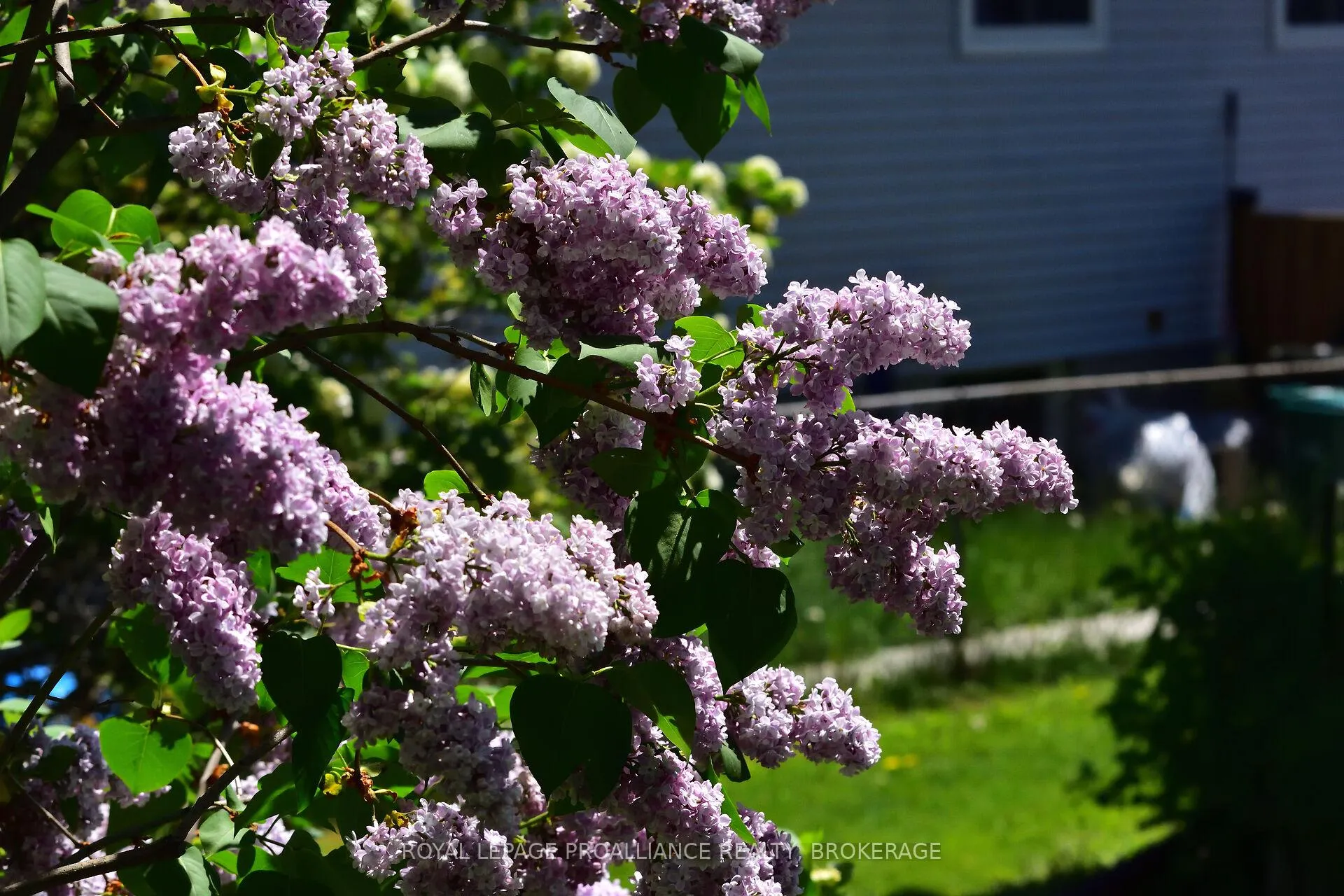 Photo 39 of 315 Melanie Avenue, Kingston, East Gardiners Rd — HOMEH