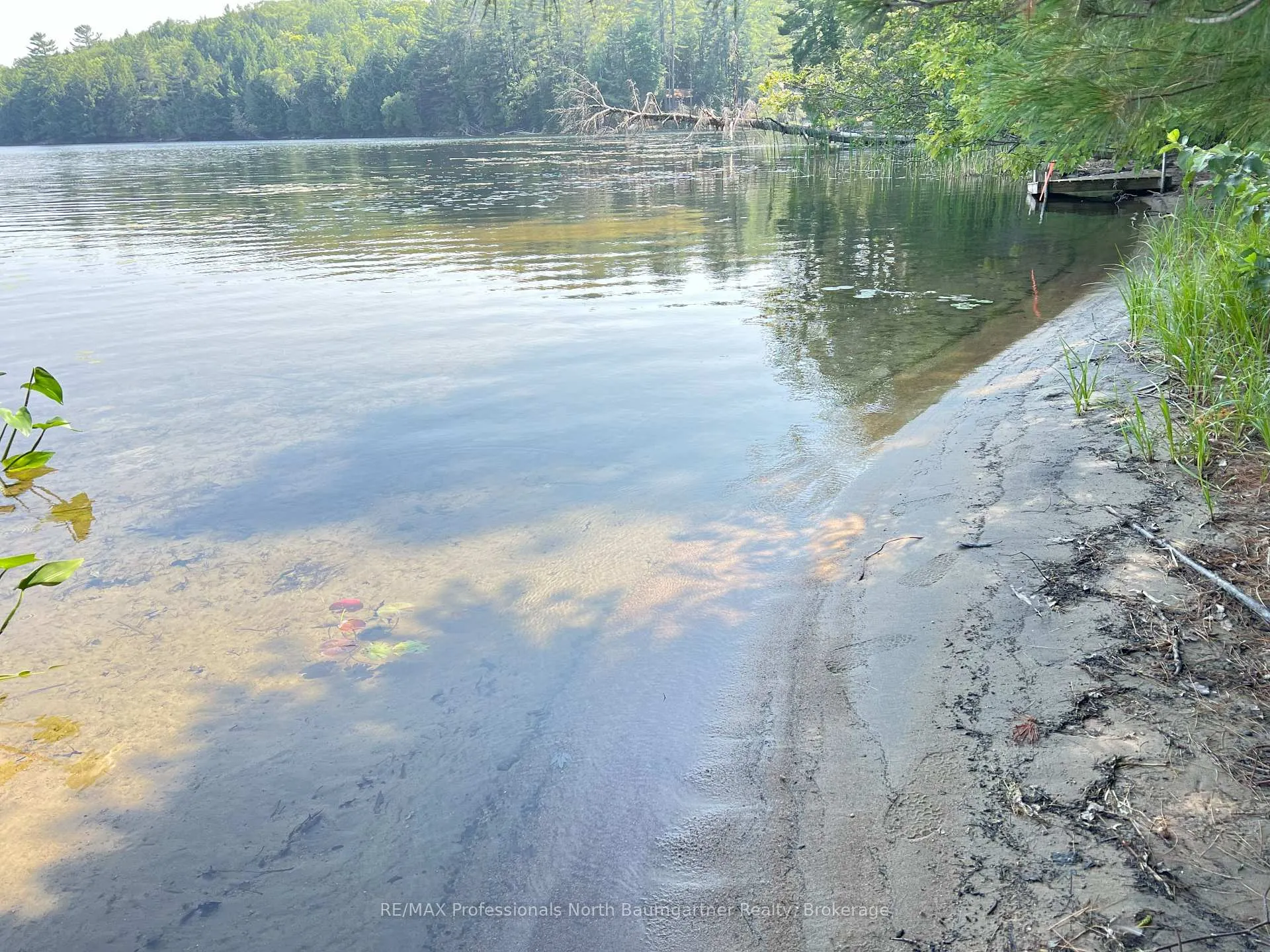 Photo 3 of North Shore Road, Algonquin Highlands, Stanhope — HOMEH