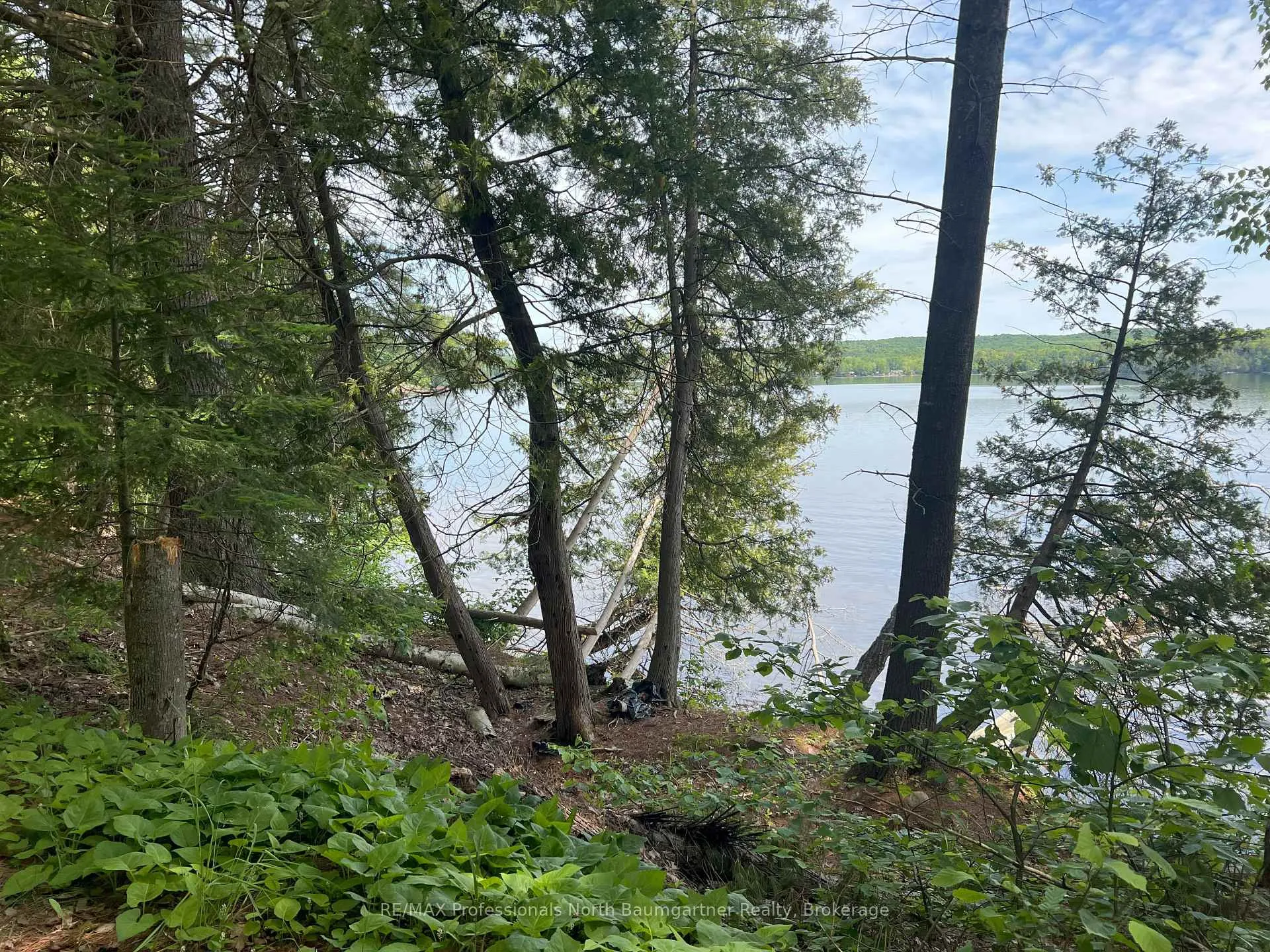 Photo 5 of North Shore Road, Algonquin Highlands, Stanhope — HOMEH