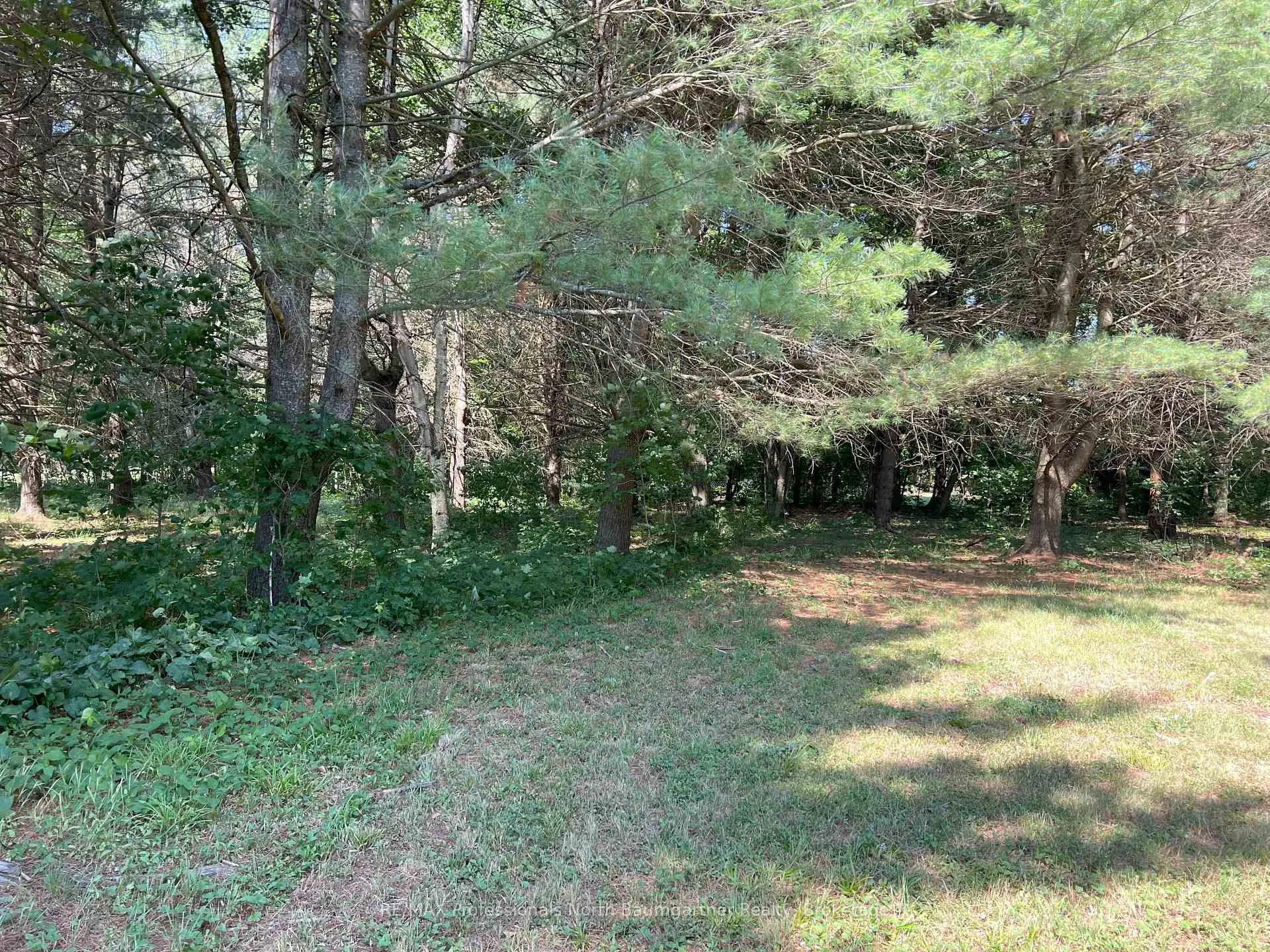 Photo 8 of North Shore Road, Algonquin Highlands, Stanhope — HOMEH