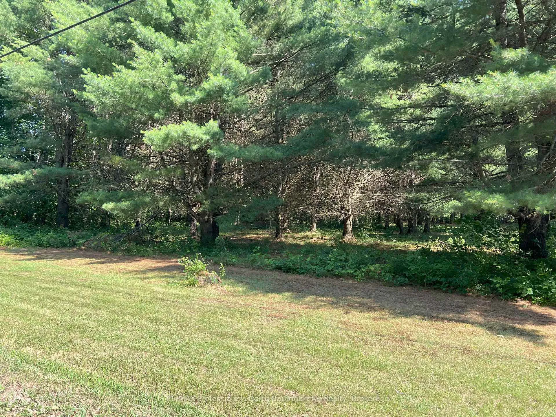 Photo 9 of North Shore Road, Algonquin Highlands, Stanhope — HOMEH