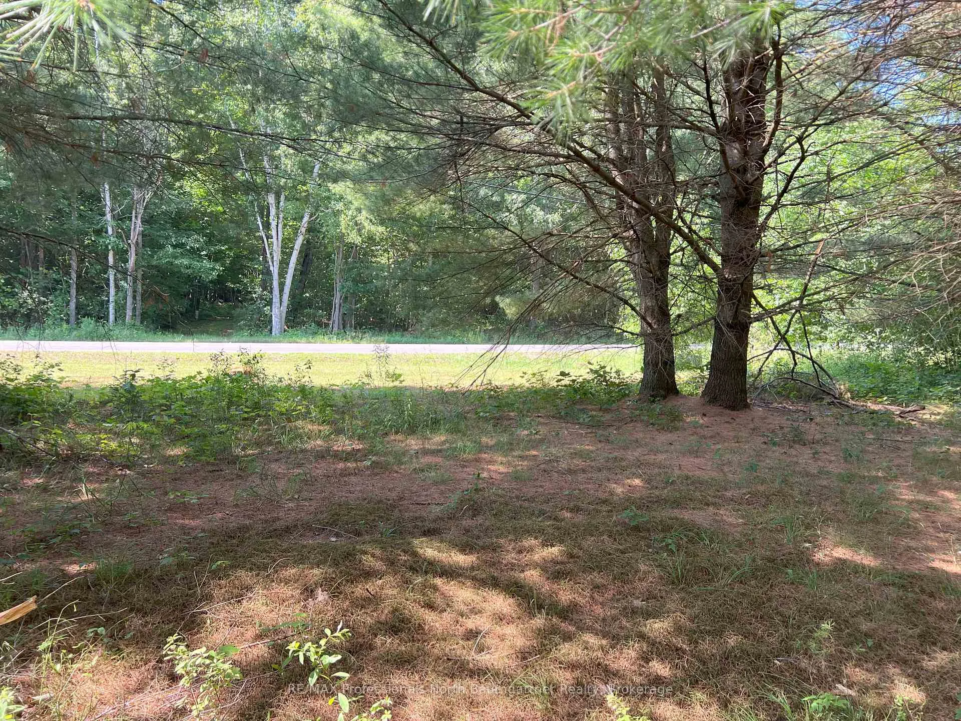 Photo 10 of North Shore Road, Algonquin Highlands, Stanhope — HOMEH