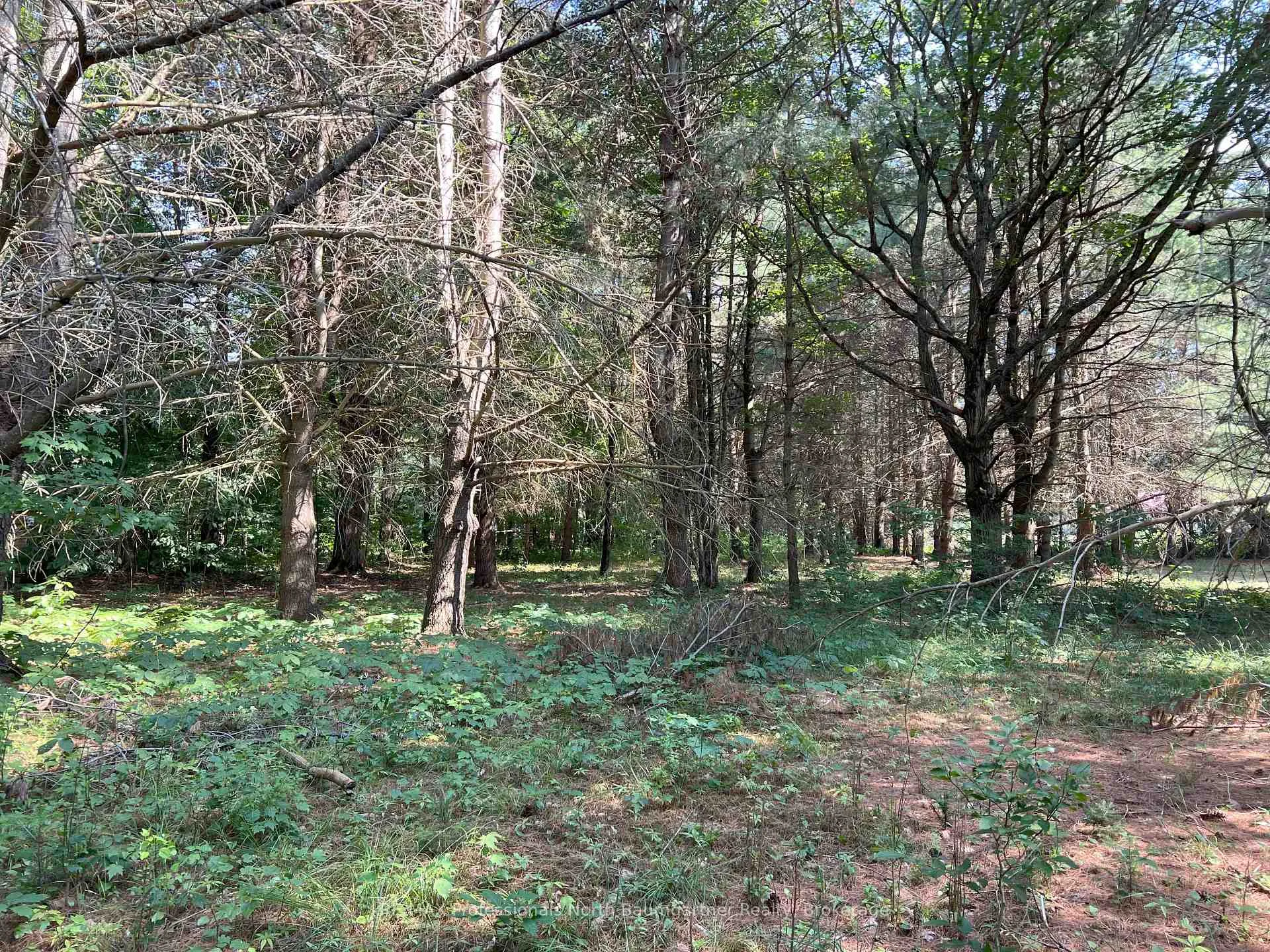 Photo 11 of North Shore Road, Algonquin Highlands, Stanhope — HOMEH