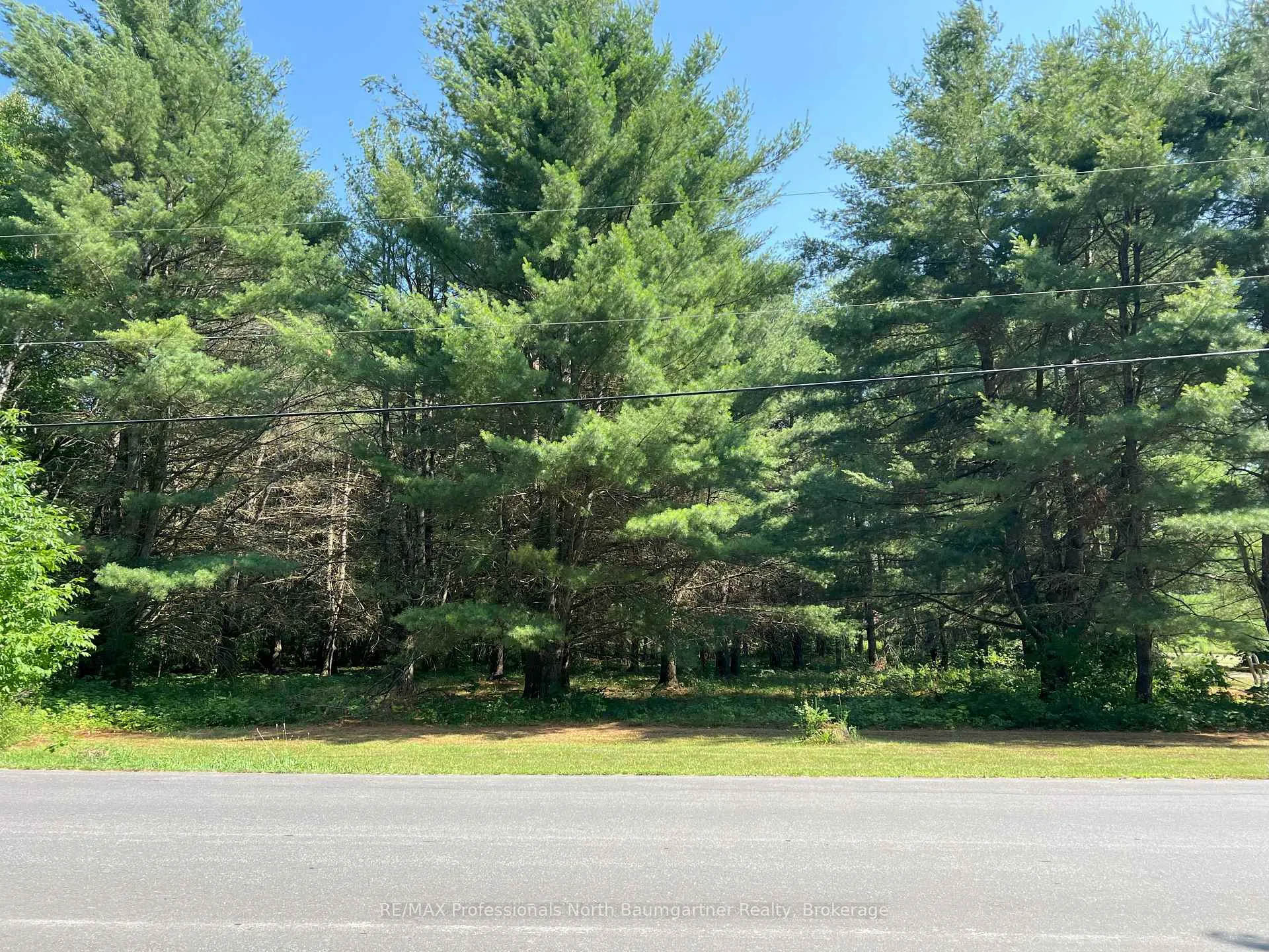 Photo 12 of North Shore Road, Algonquin Highlands, Stanhope — HOMEH