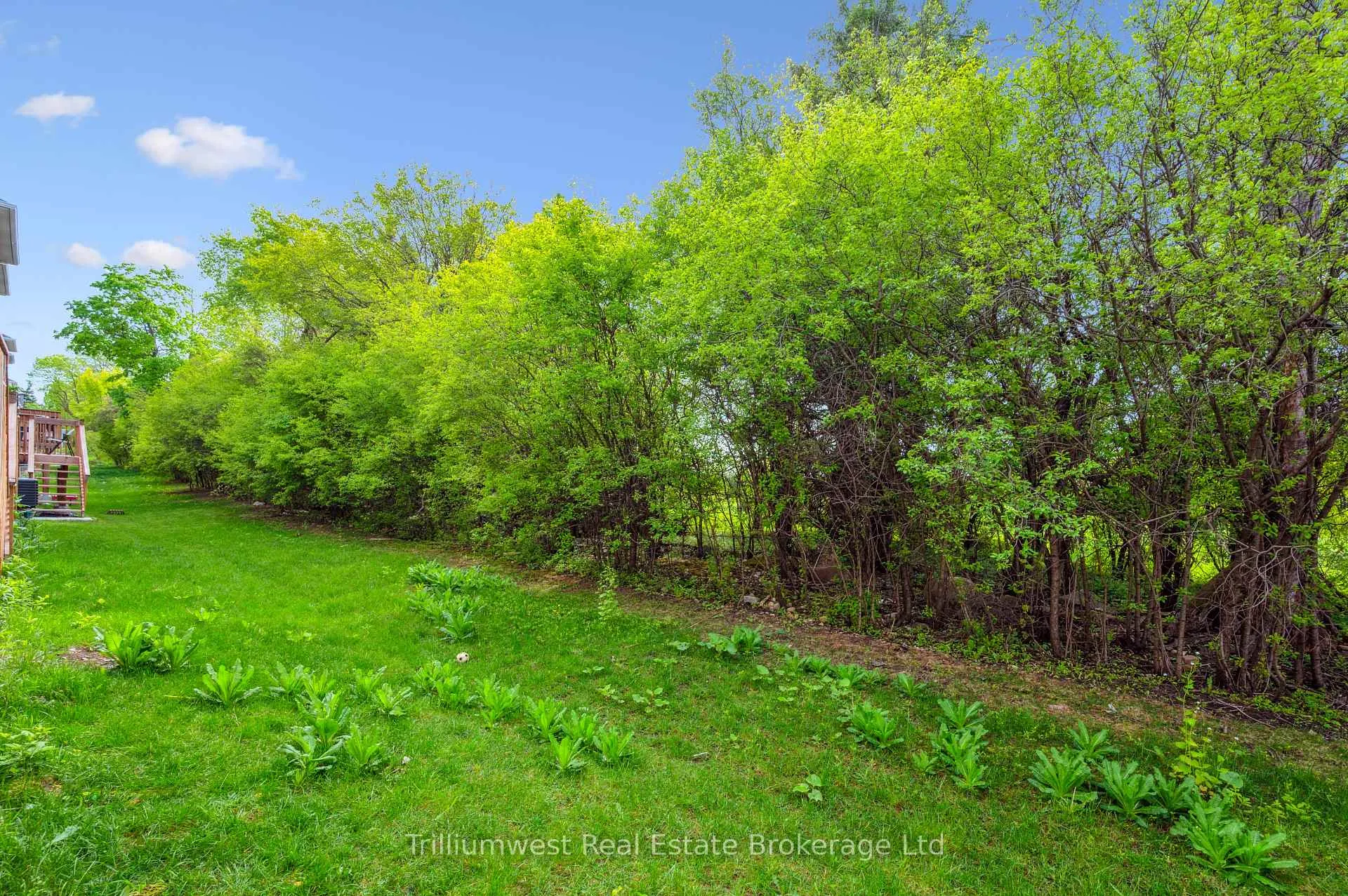 Photo 32 of 17 Jell Street, Guelph, Willow West/Sugarbush/West Acres — HOMEH