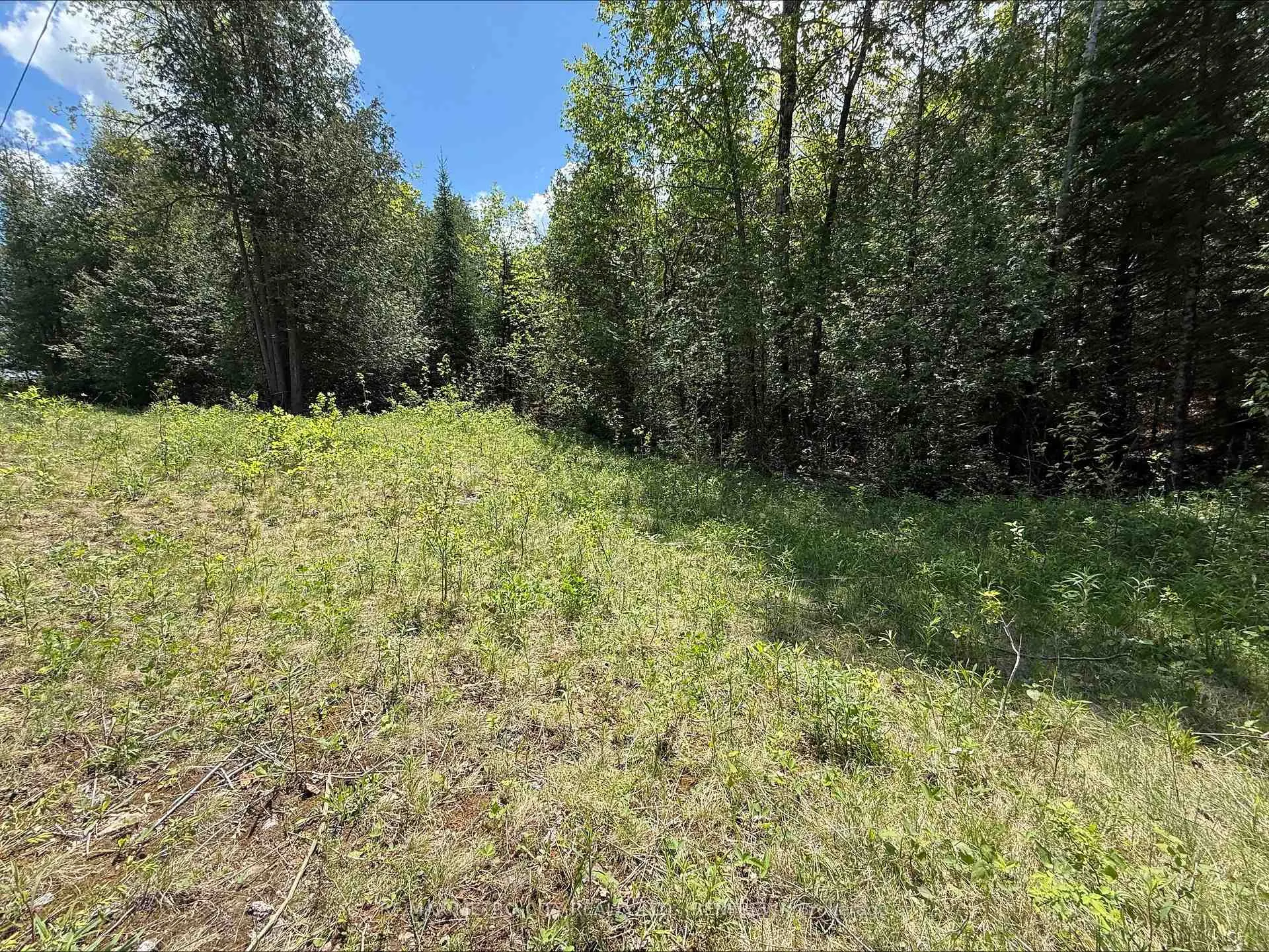 Photo 3 of Inglis Road, Greater Madawaska — HOMEH
