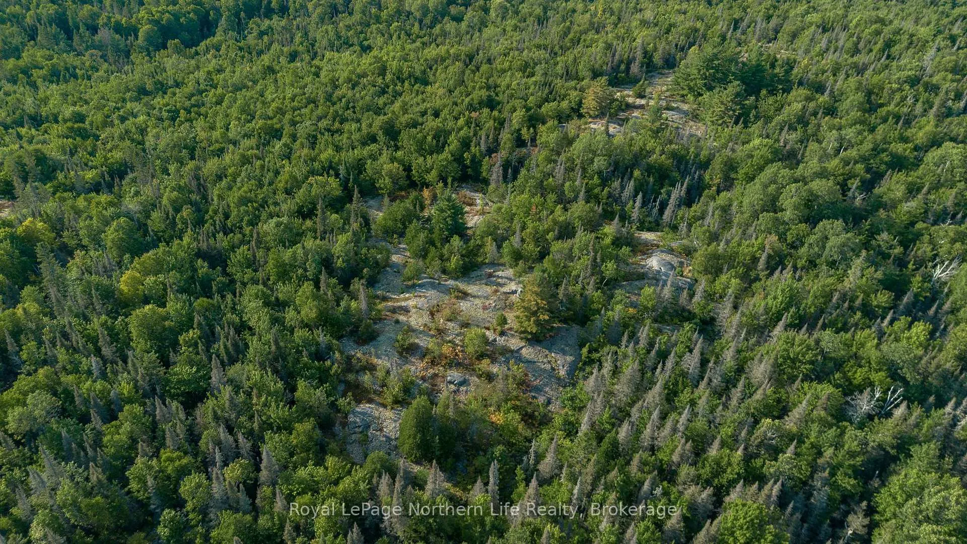 Photo 6 of 137 Grand Desert Road, Bonfield — HOMEH