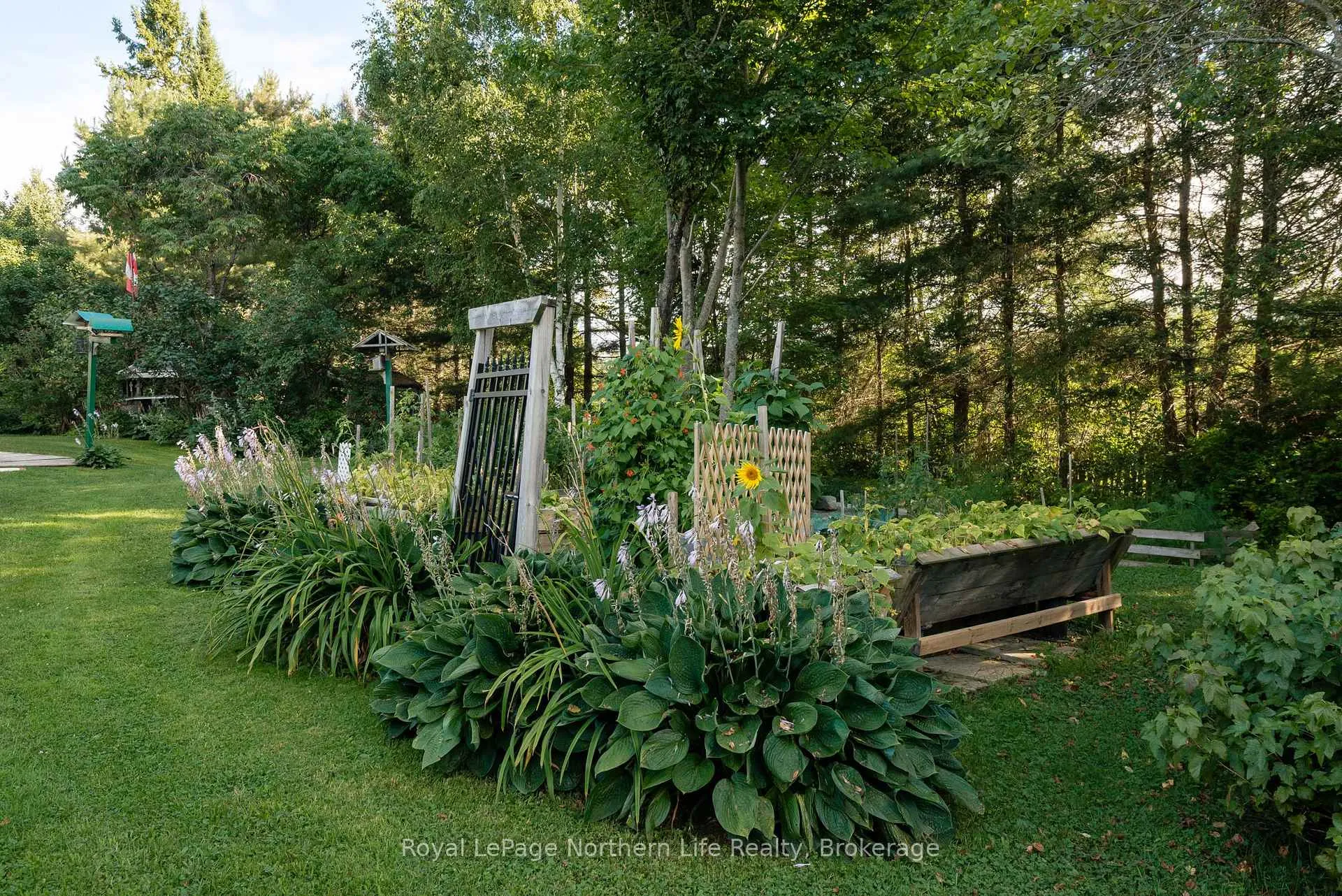 Photo 15 of 137 Grand Desert Road, Bonfield — HOMEH