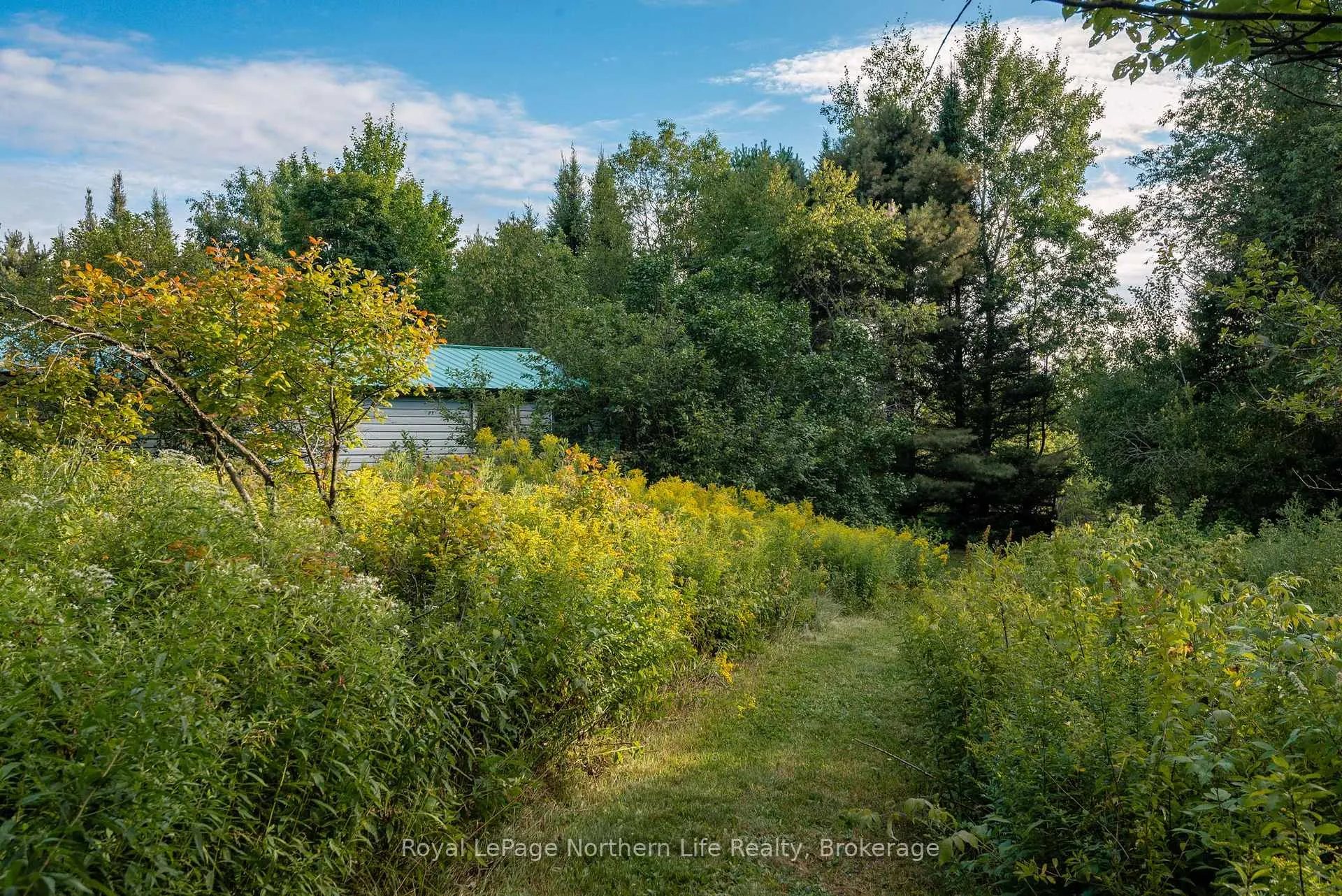 Photo 46 of 137 Grand Desert Road, Bonfield — HOMEH