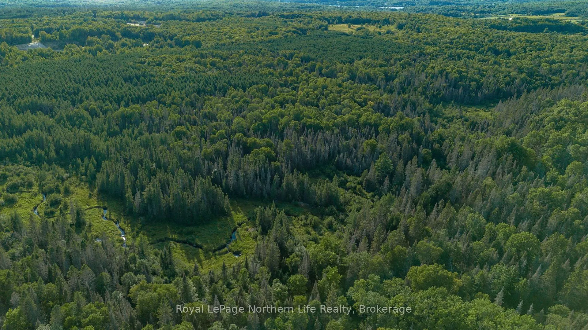 Photo 50 of 137 Grand Desert Road, Bonfield — HOMEH