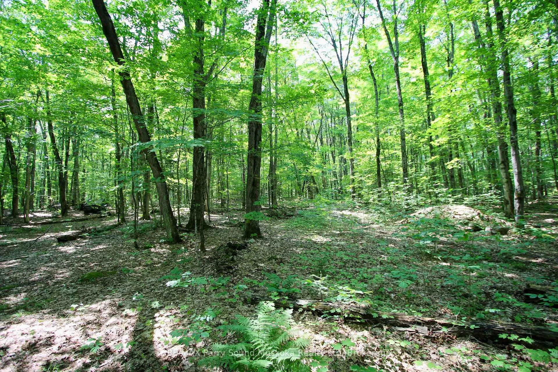 Photo 1 of 197 Lakeshore Road, Armour — HOMEH