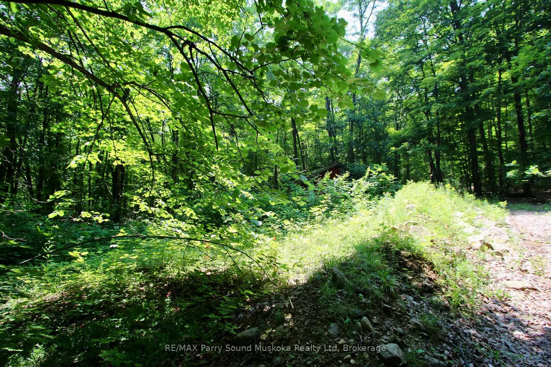 Photo 3 of 197 Lakeshore Road, Armour — HOMEH