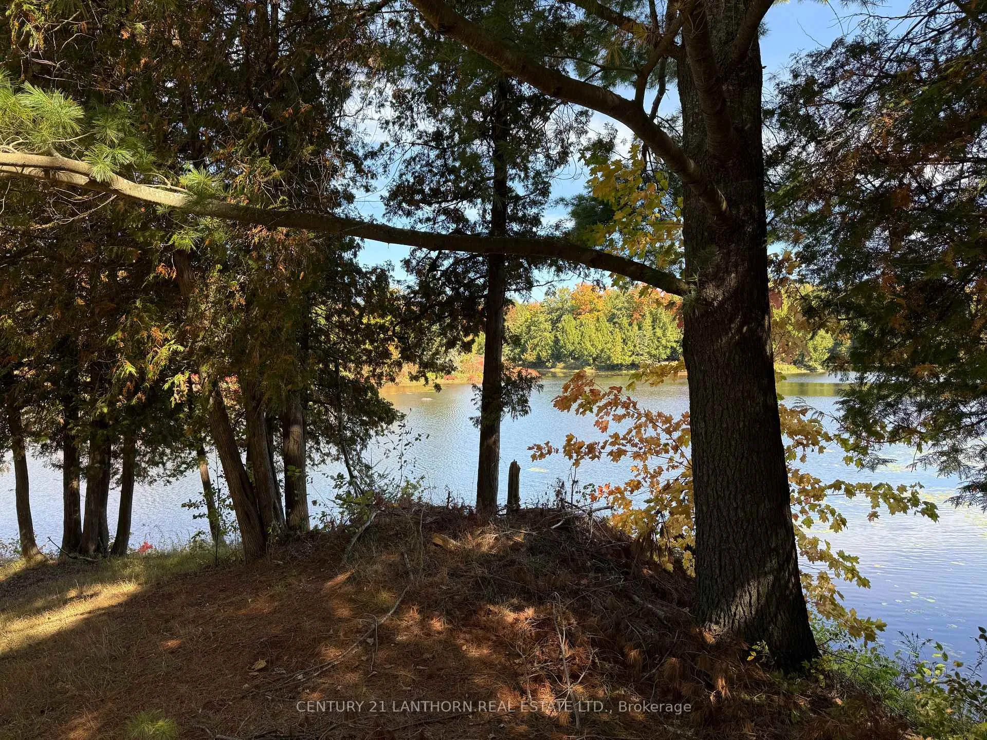 Photo 14 of 1748 Queensborough Road, Tweed, Elzevir (Twp) — HOMEH
