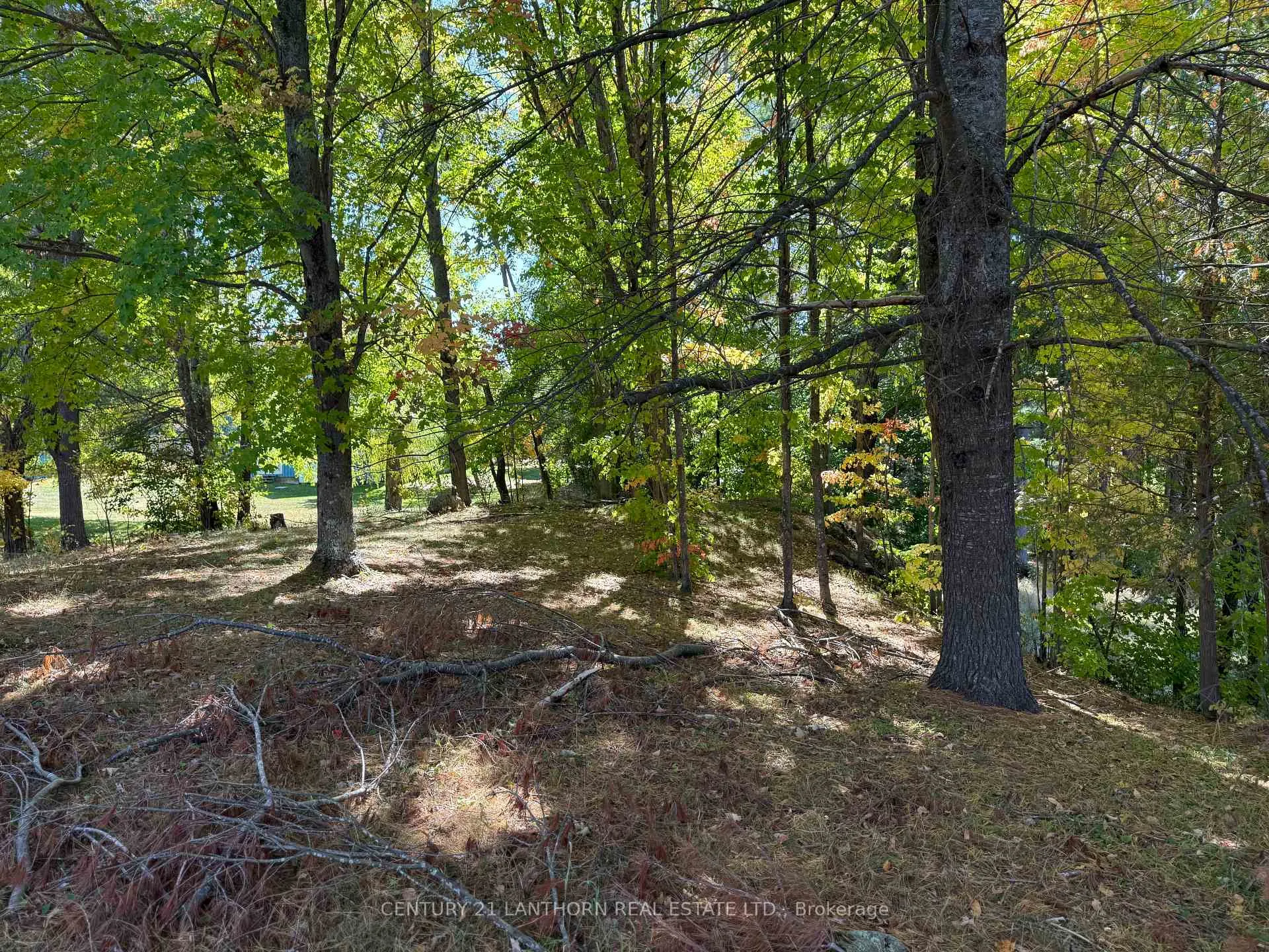 Photo 19 of 1748 Queensborough Road, Tweed, Elzevir (Twp) — HOMEH