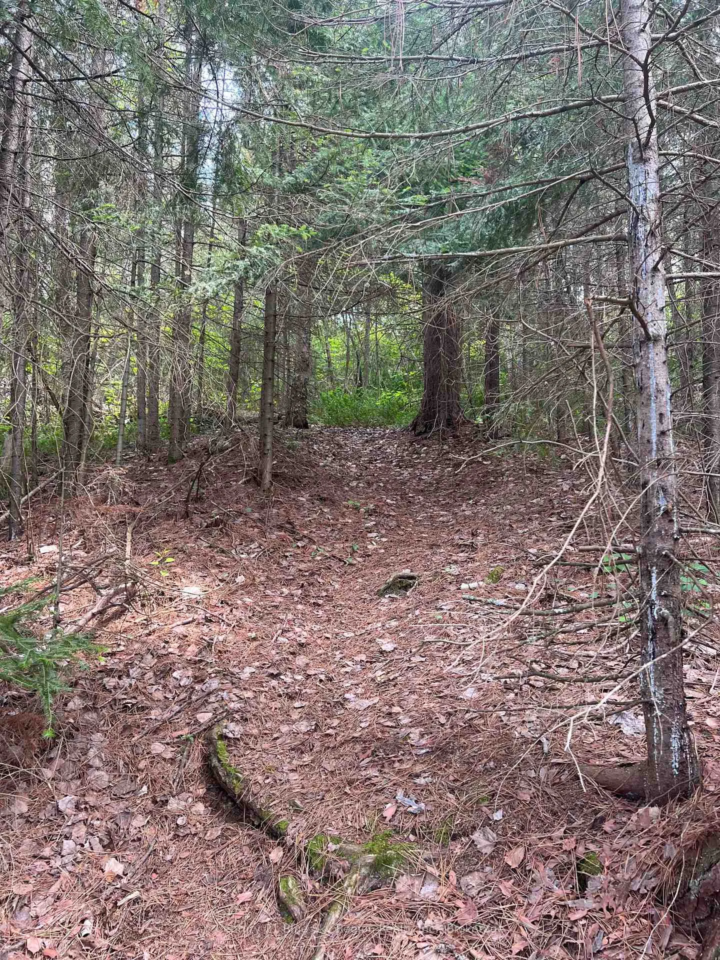 Photo 33 of Island 665 Part 2 Chimo, Temagami — HOMEH