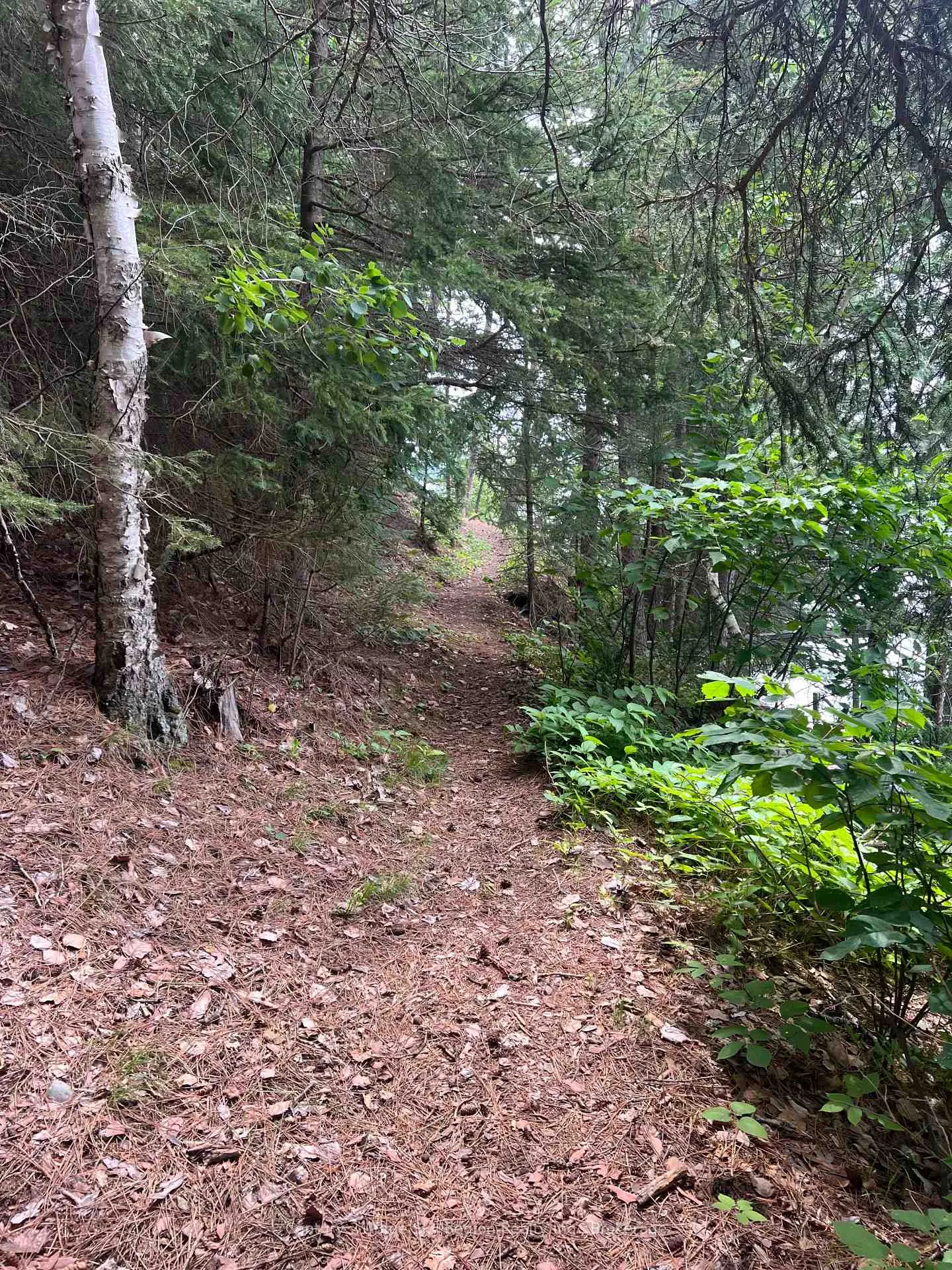 Photo 34 of Island 665 Part 2 Chimo, Temagami — HOMEH