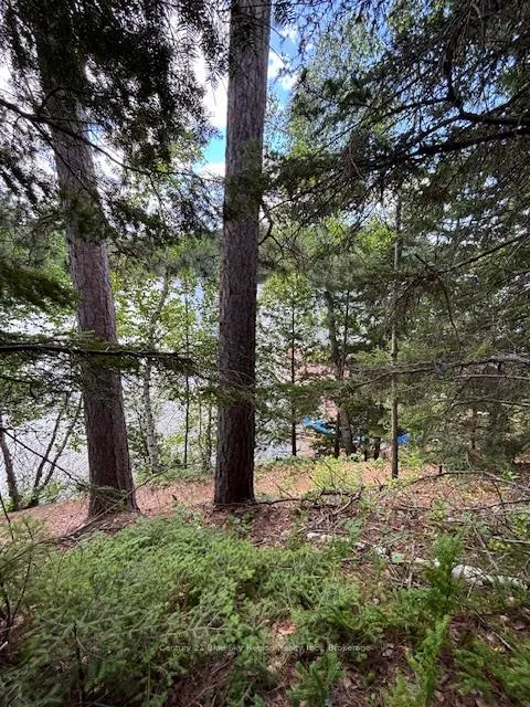 Photo 47 of Island 665 Part 2 Chimo, Temagami — HOMEH