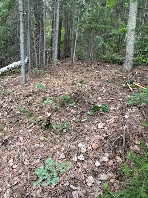 Photo 48 of Island 665 Part 2 Chimo, Temagami — HOMEH