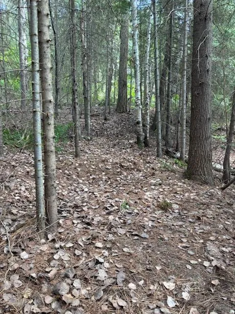 Photo 49 of Island 665 Part 2 Chimo, Temagami — HOMEH