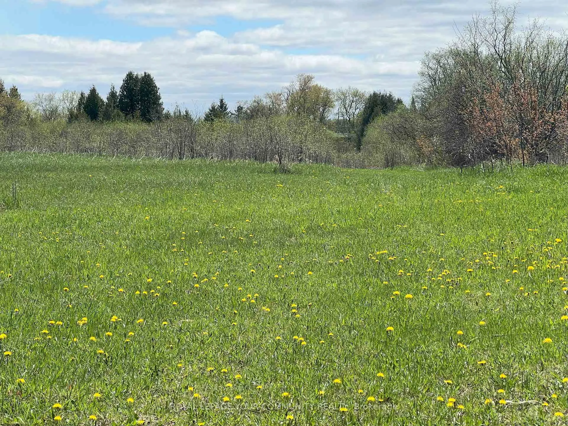 Photo 4 of Durham Rd 23, Brock, Rural Brock — HOMEH