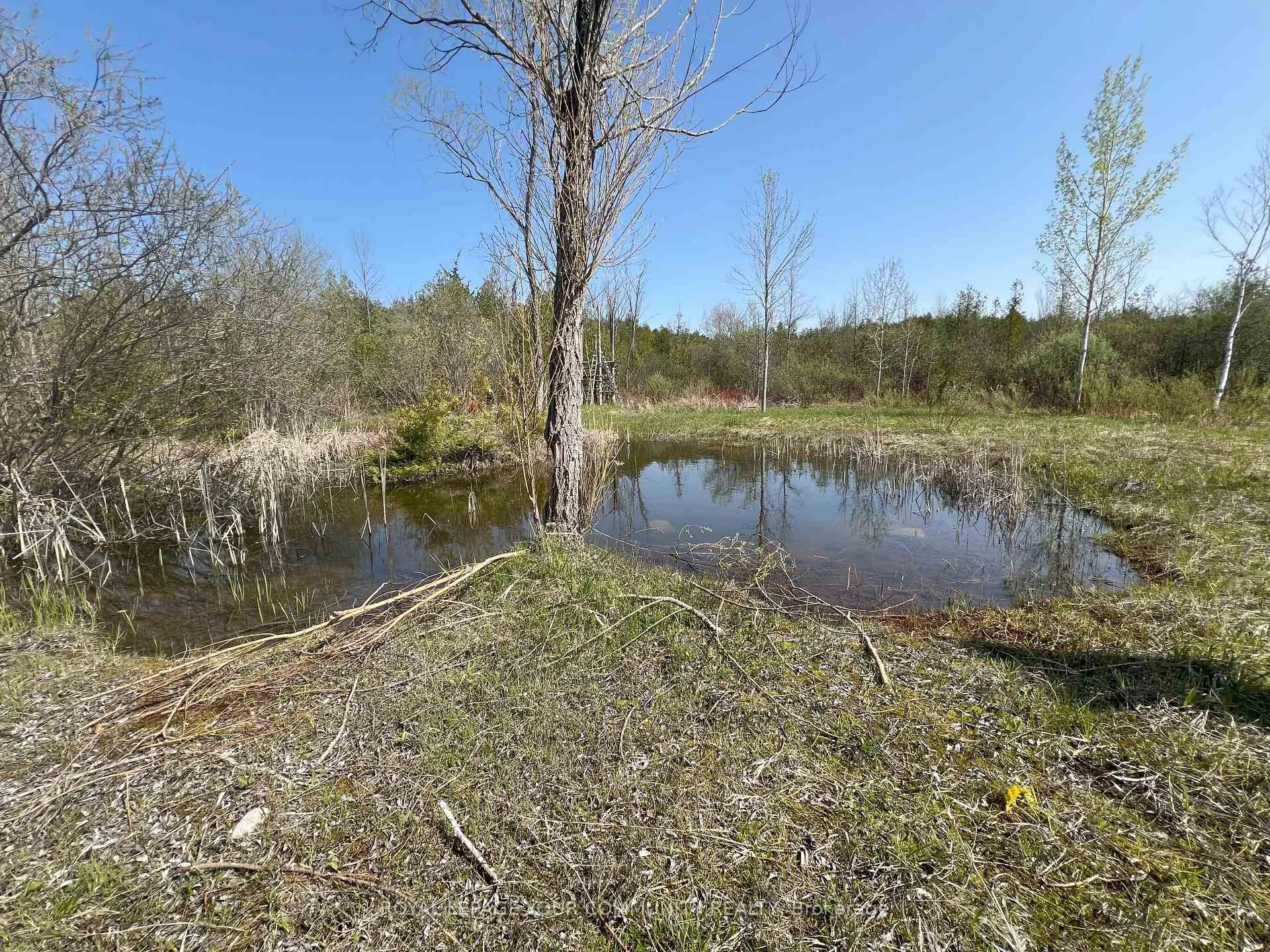 Photo 7 of Durham Rd 23, Brock, Rural Brock — HOMEH