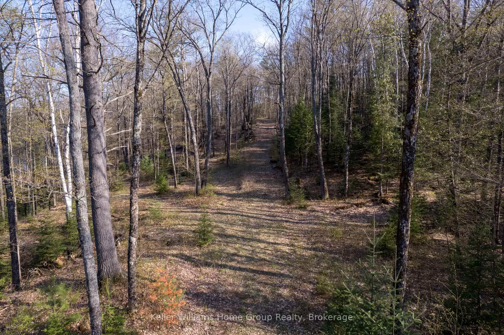 Photo 7 of Bay Lake Road, Faraday — HOMEH