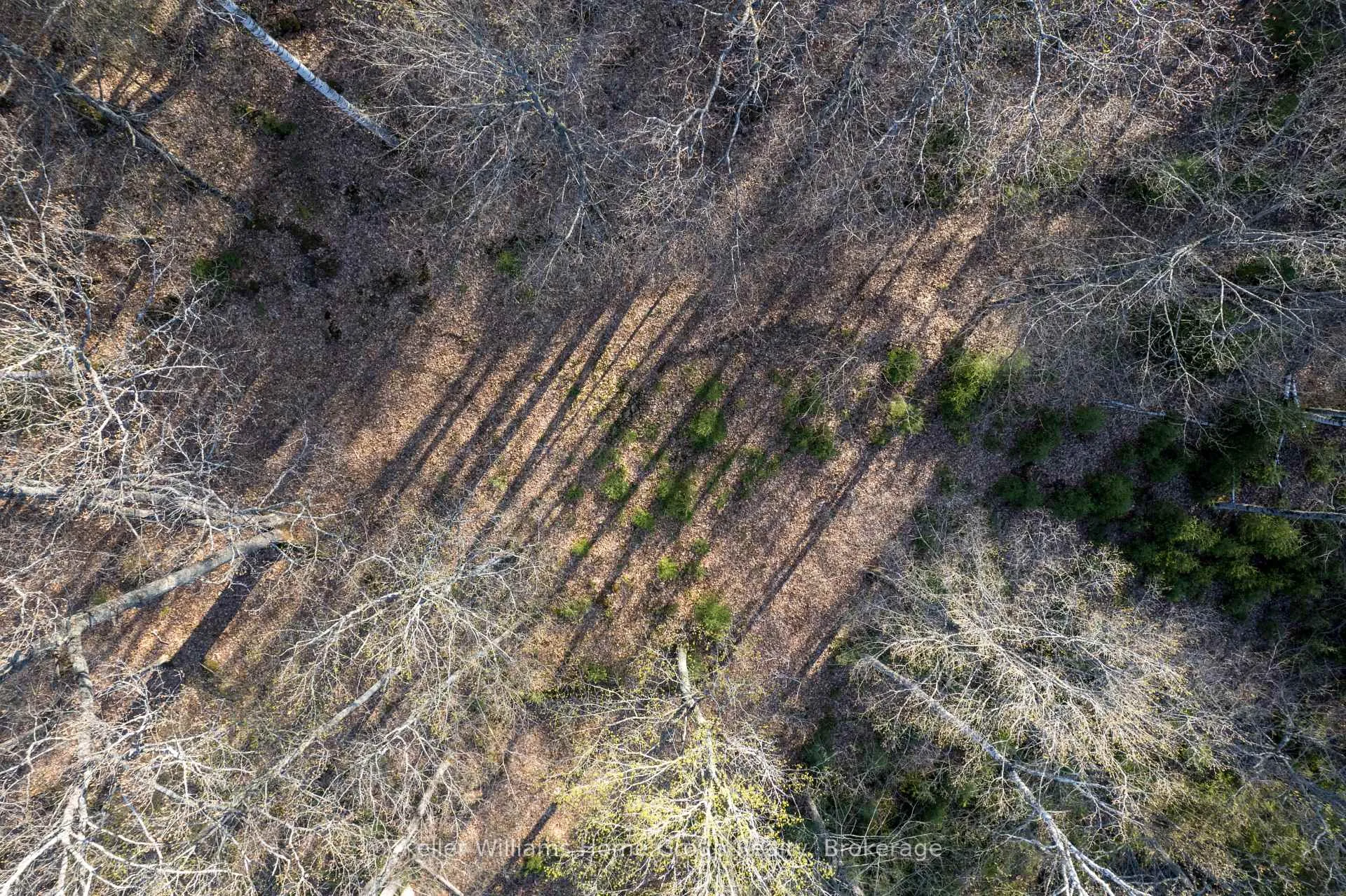 Photo 8 of Bay Lake Road, Faraday — HOMEH