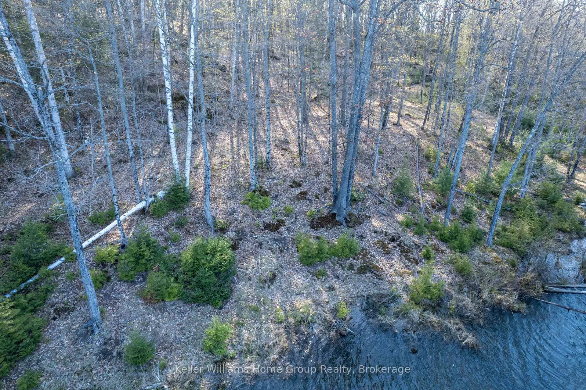 Photo 9 of Bay Lake Road, Faraday — HOMEH