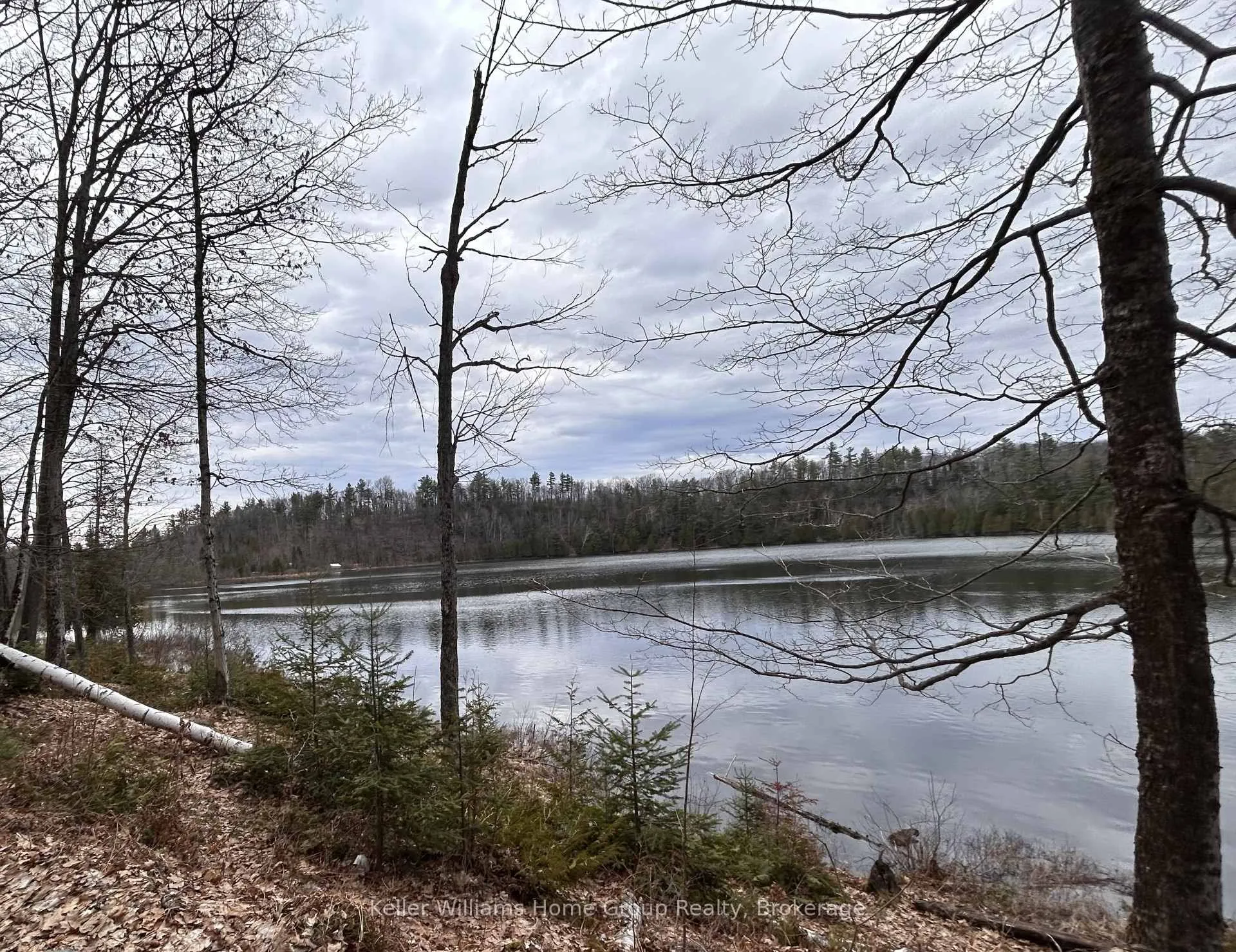 Photo 13 of Bay Lake Road, Faraday — HOMEH