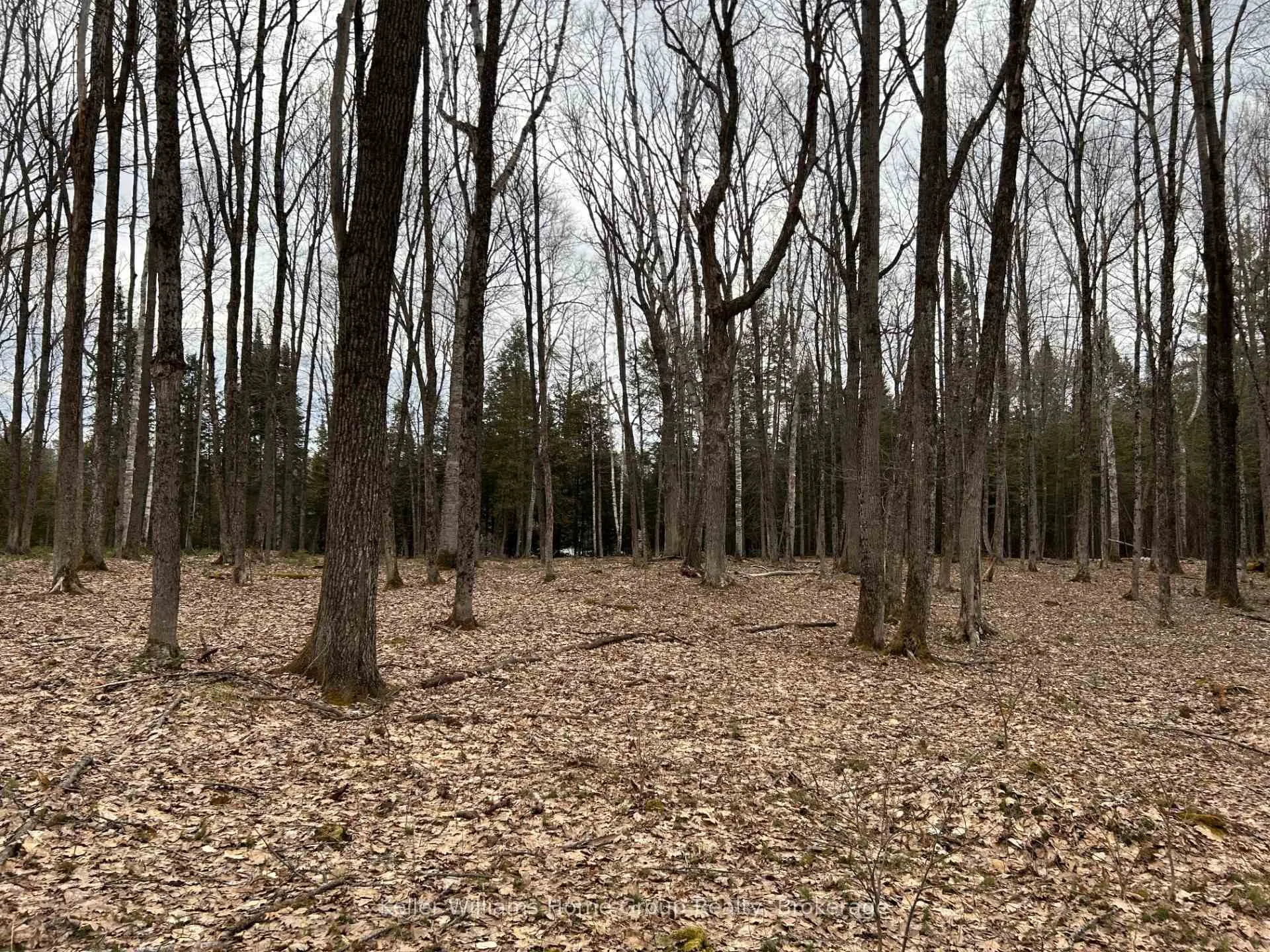 Photo 15 of Bay Lake Road, Faraday — HOMEH