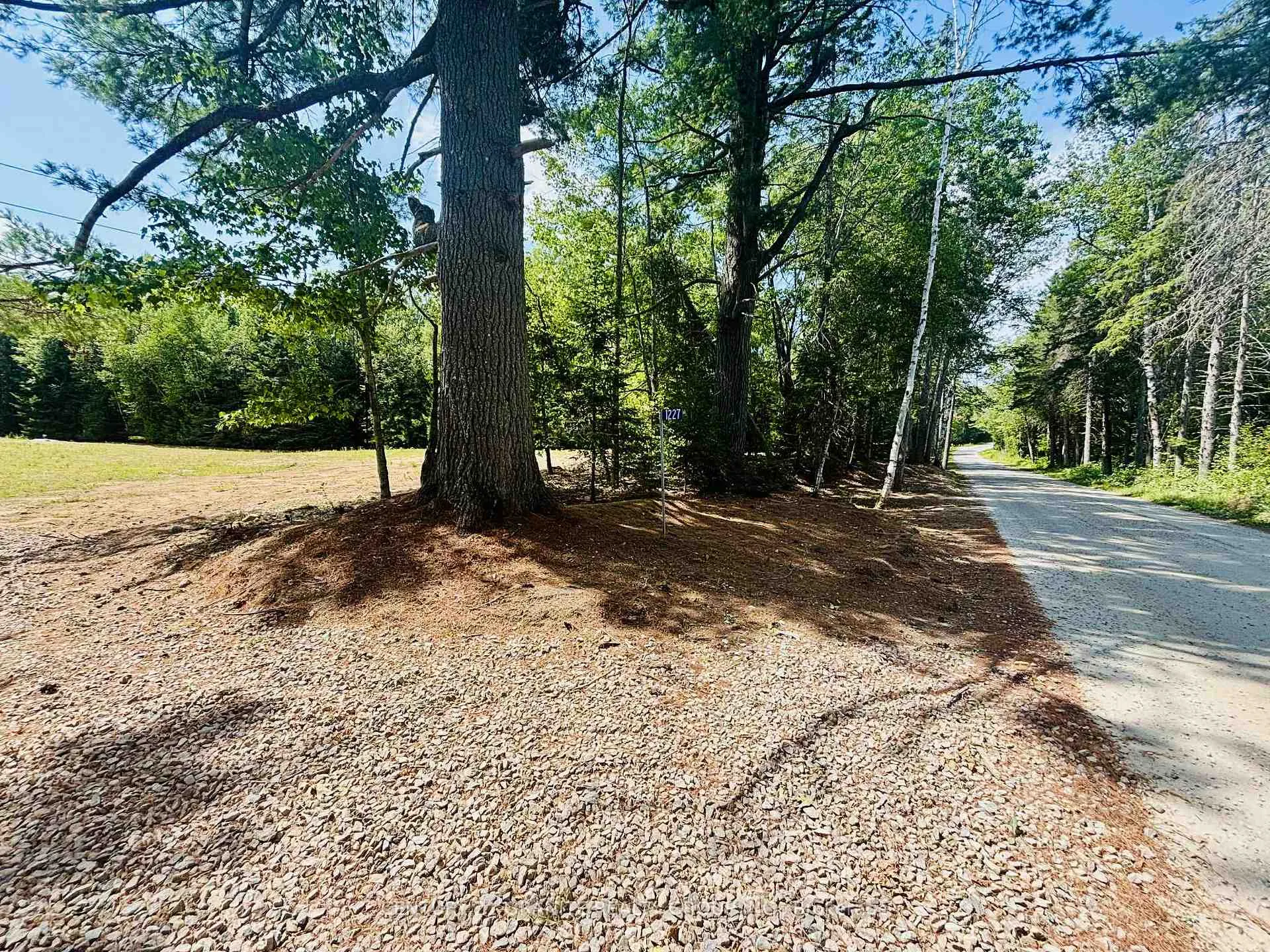 Photo 9 of 1227 Bay Lake Road, Faraday — HOMEH