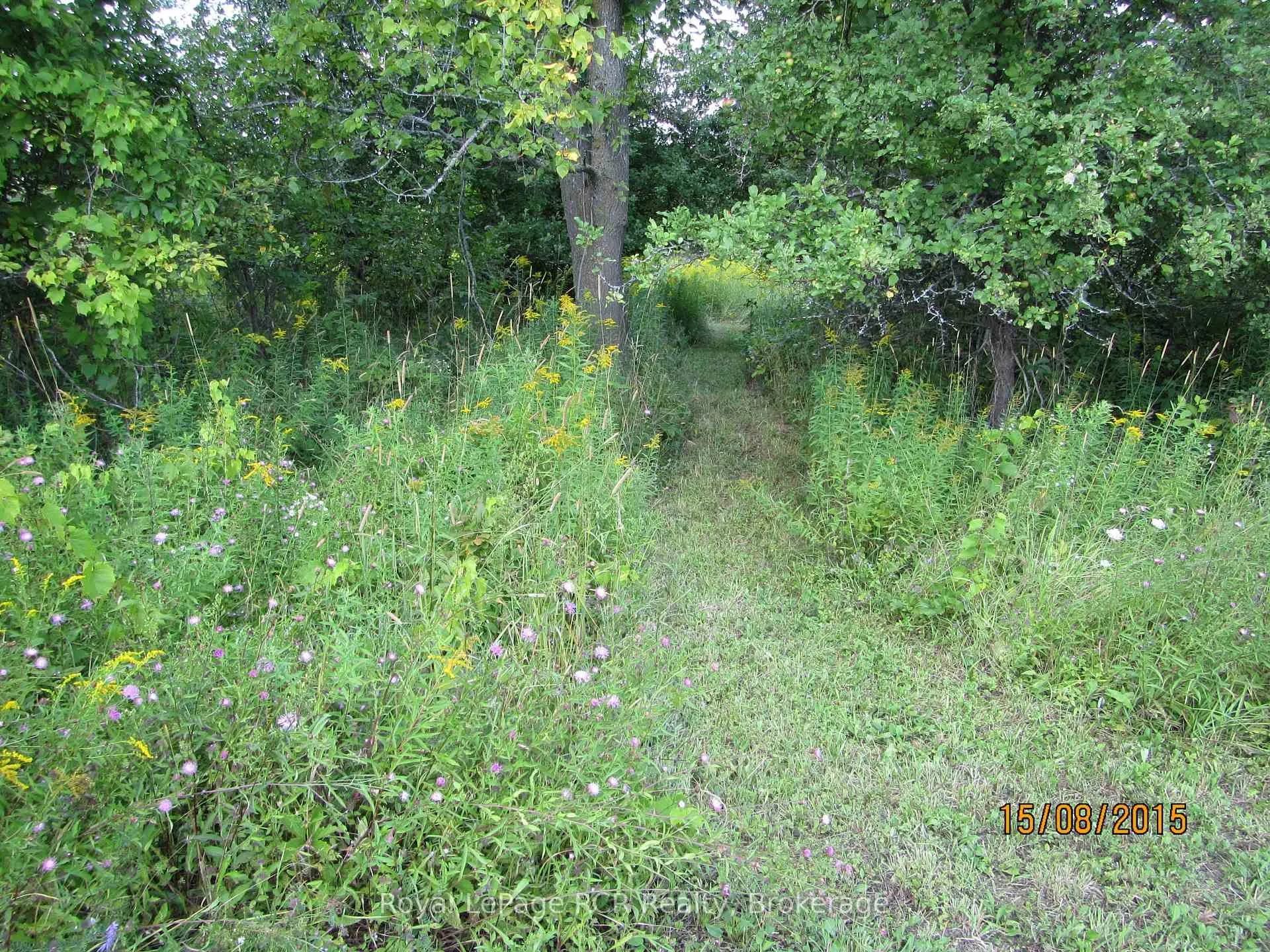 Photo 17 of 234283 Concession 2 WGR, West Grey — HOMEH