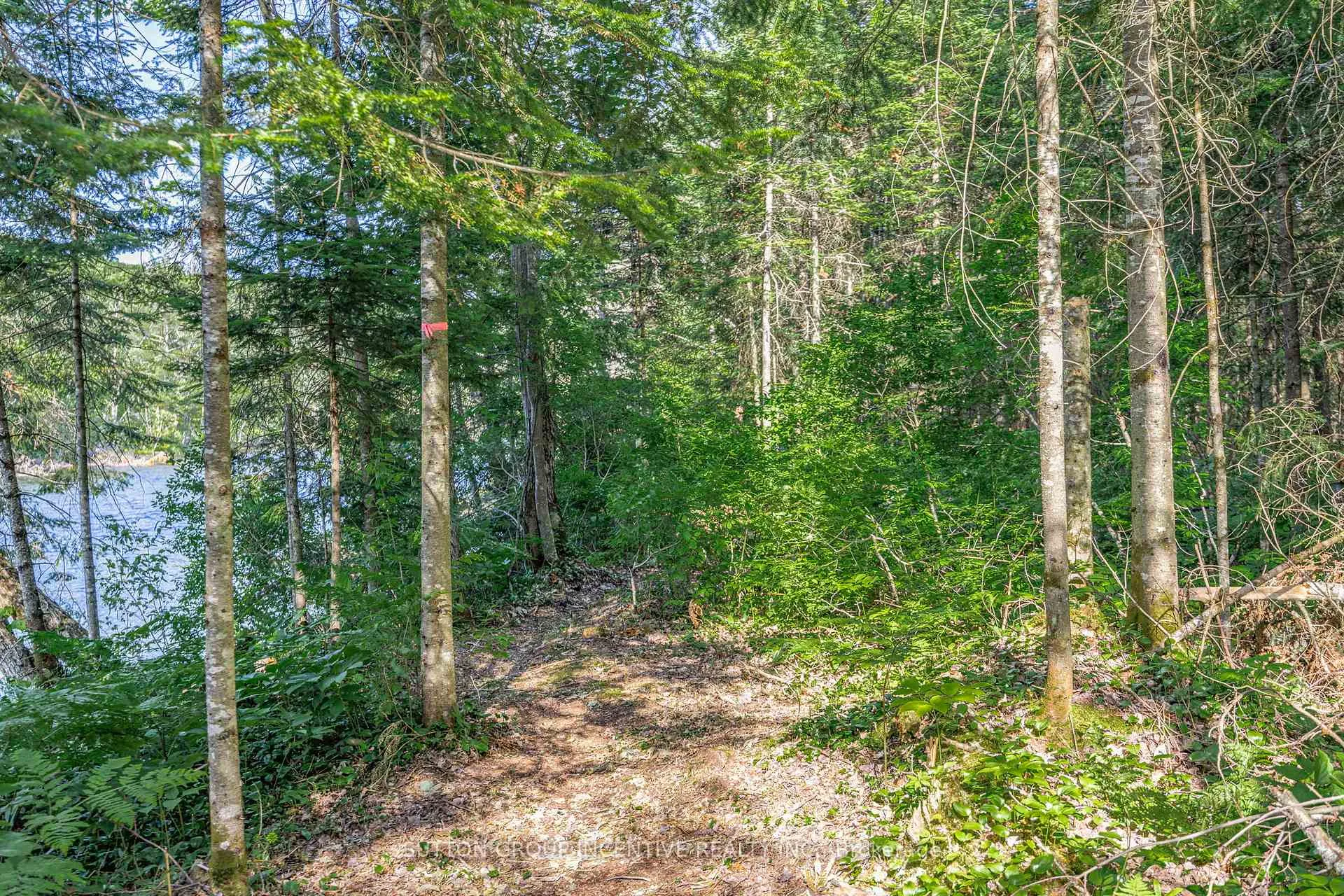 Photo 44 of 1559 118 Highway E, Bracebridge, Draper — HOMEH
