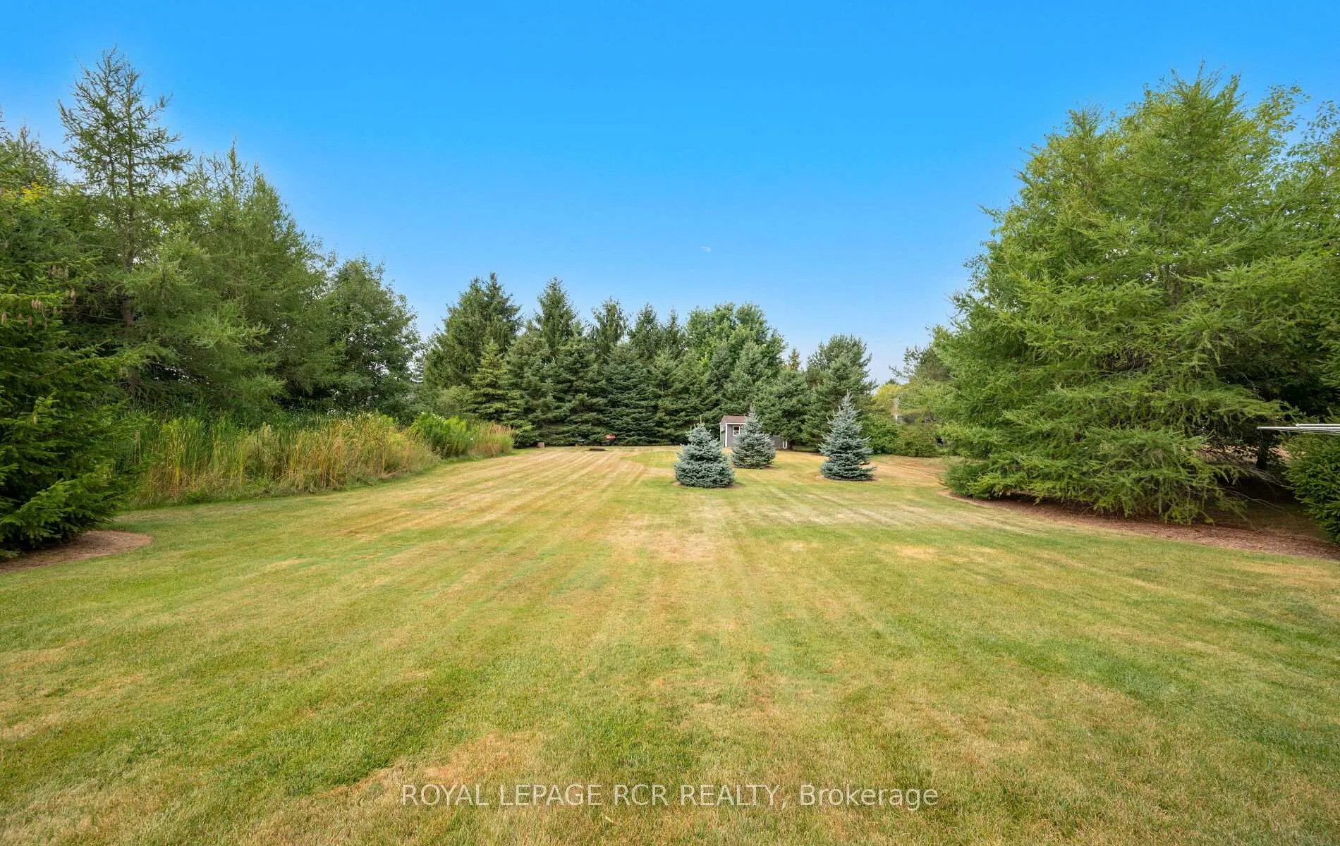 Photo 40 of 10 Peter Street, Amaranth, Rural Amaranth — HOMEH