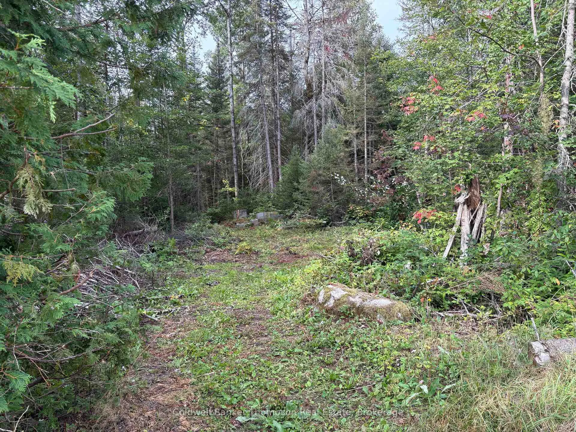 Photo 4 of 168 White Pine Drive, Machar — HOMEH